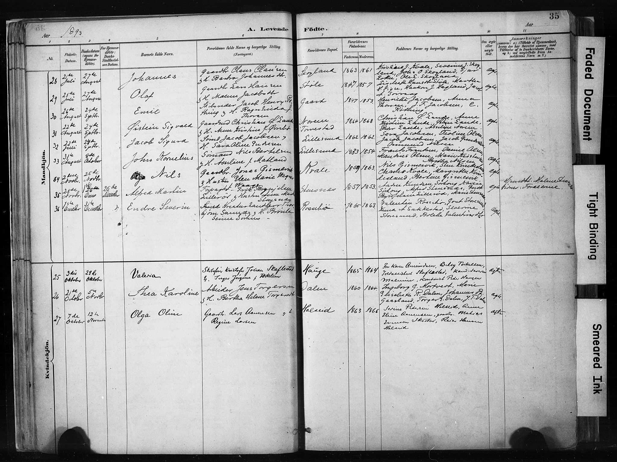 Haugesund sokneprestkontor, SAST/A -101863/H/Ha/Haa/L0004: Parish register (official) no. A 4, 1886-1908, p. 35