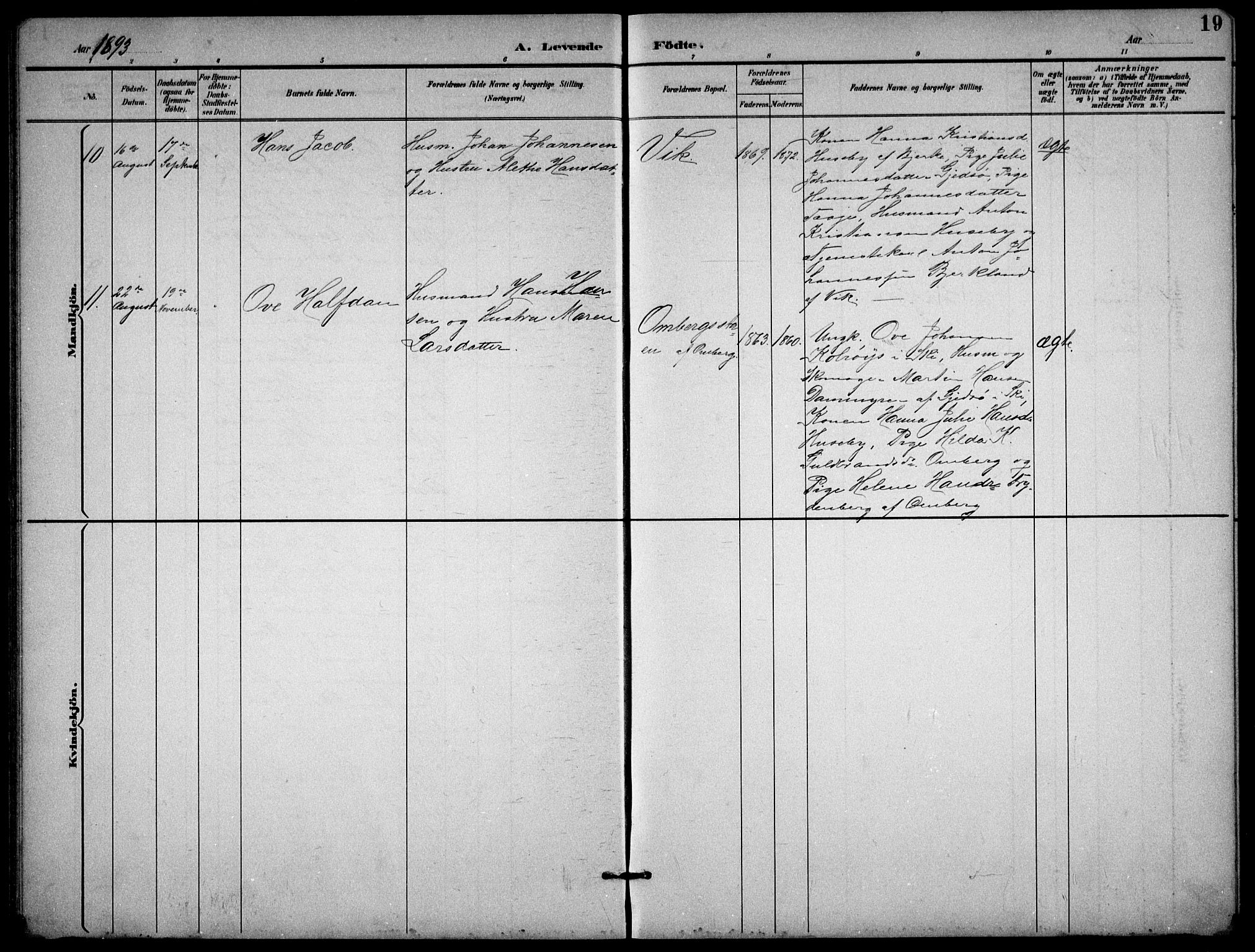 Enebakk prestekontor Kirkebøker, AV/SAO-A-10171c/G/Gb/L0002: Parish register (copy) no. II 2, 1891-1903, p. 19