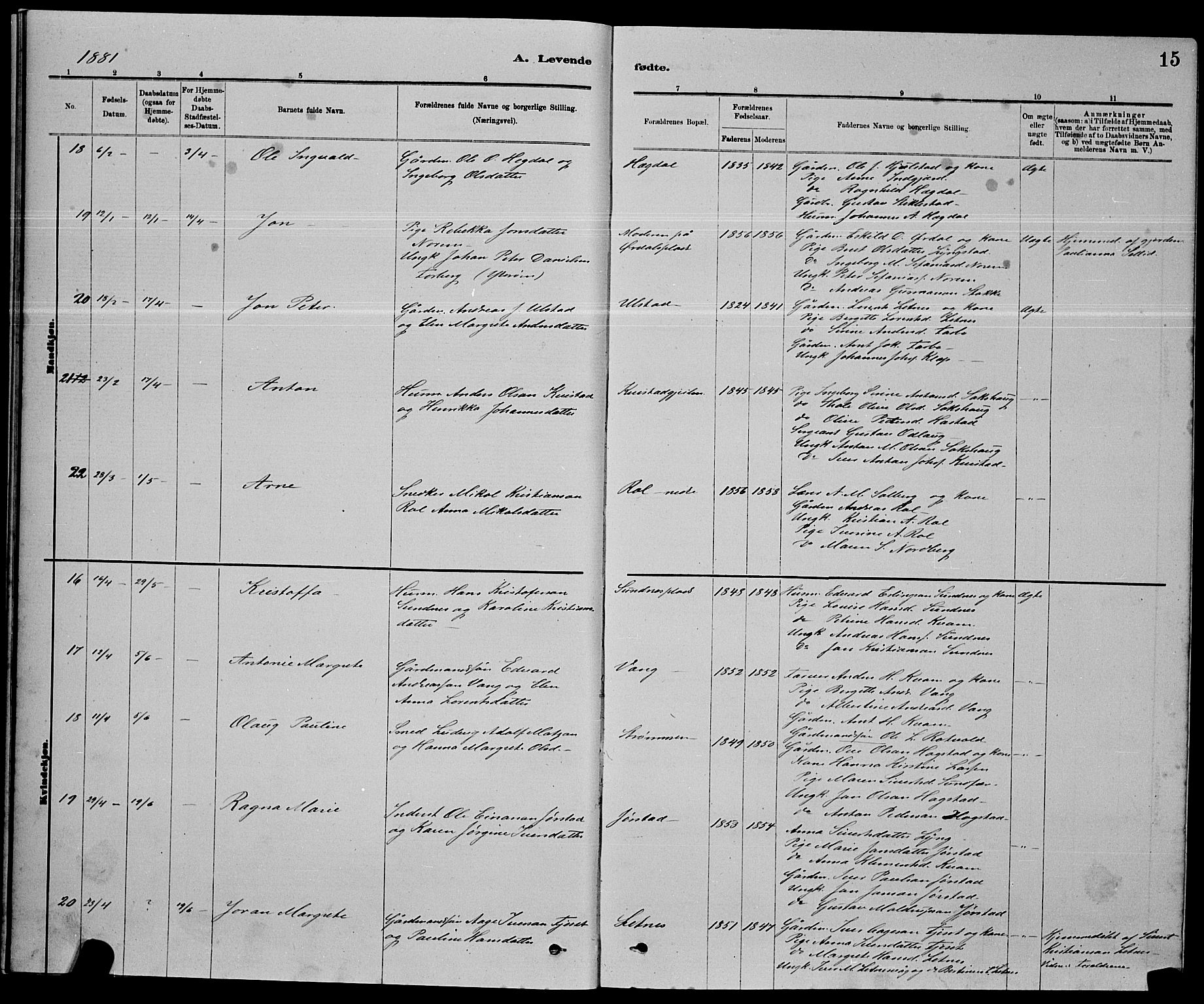 Ministerialprotokoller, klokkerbøker og fødselsregistre - Nord-Trøndelag, AV/SAT-A-1458/730/L0301: Parish register (copy) no. 730C04, 1880-1897, p. 15