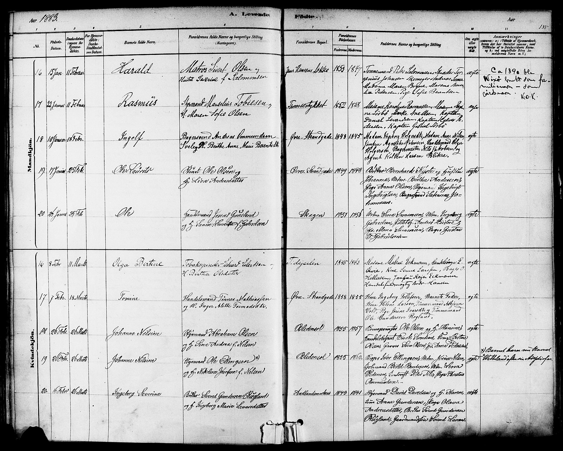 Domkirken sokneprestkontor, AV/SAST-A-101812/001/30/30BA/L0026: Parish register (official) no. A 25, 1878-1889, p. 135