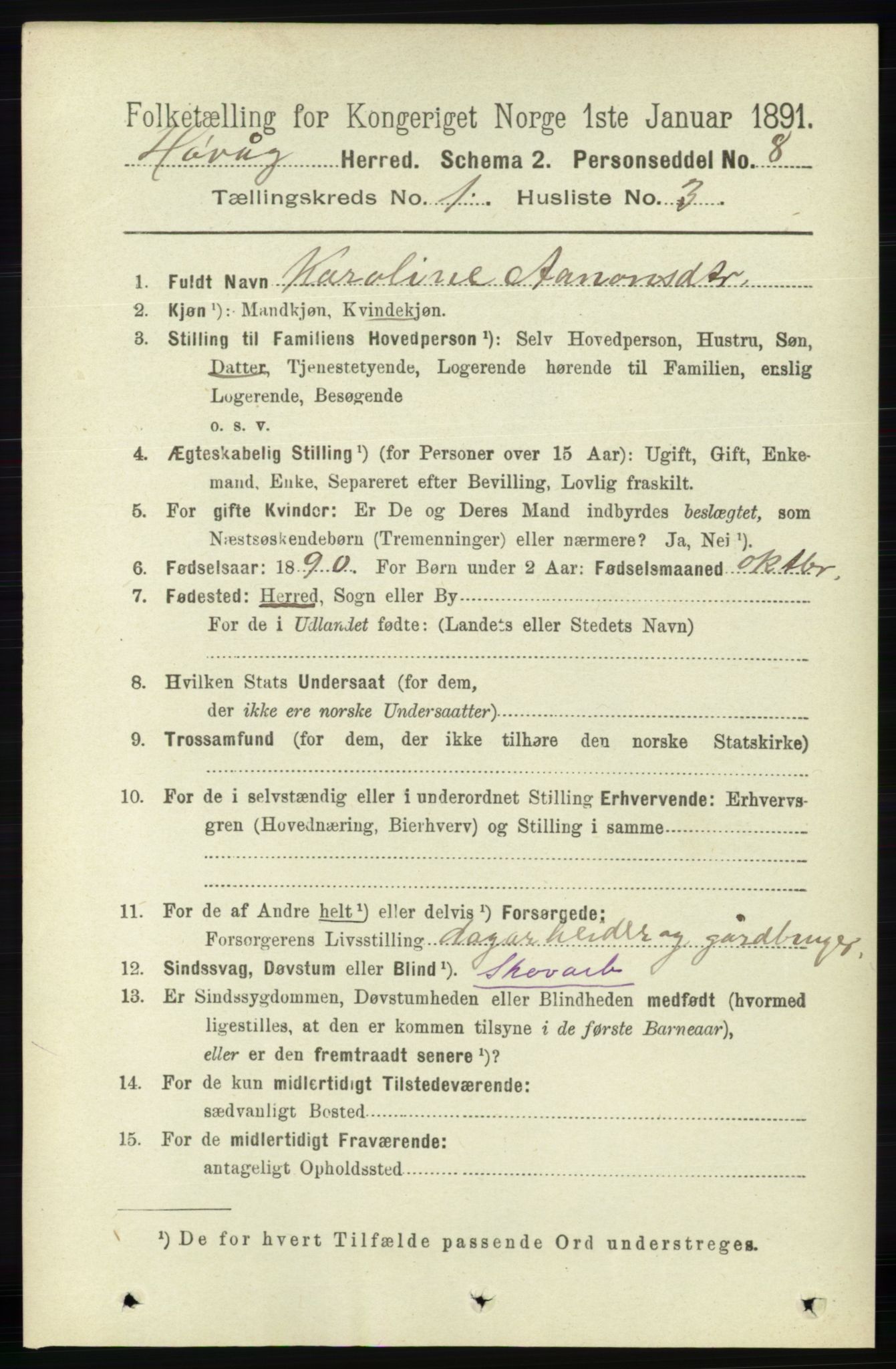 RA, 1891 census for 0927 Høvåg, 1891, p. 104