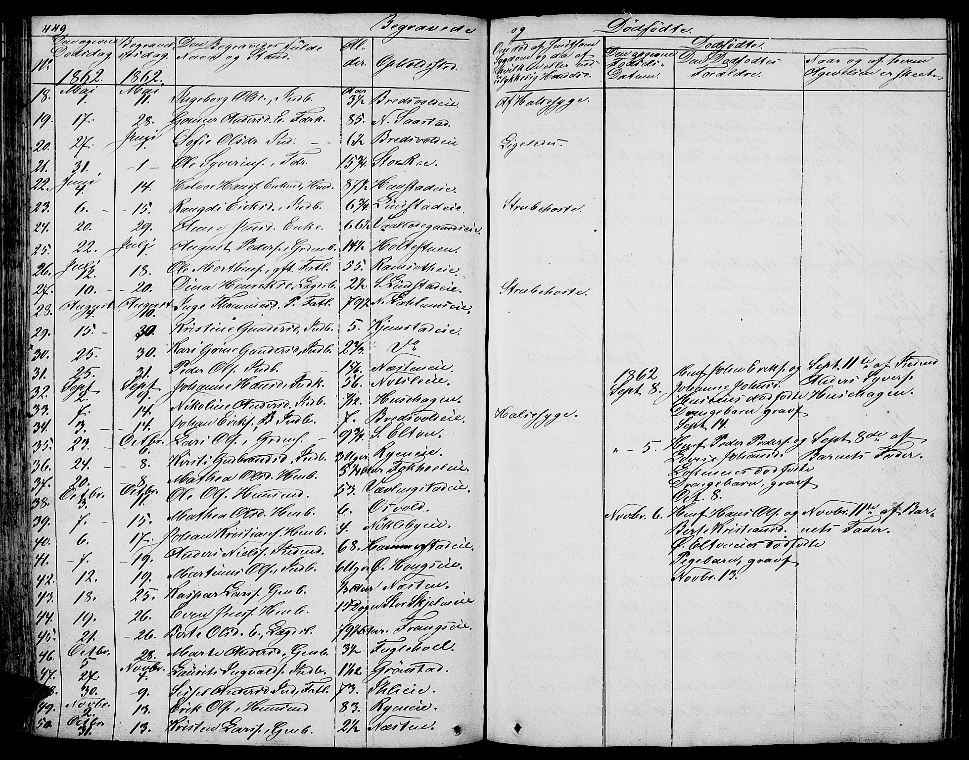 Stange prestekontor, AV/SAH-PREST-002/L/L0003: Parish register (copy) no. 3, 1840-1864, p. 449