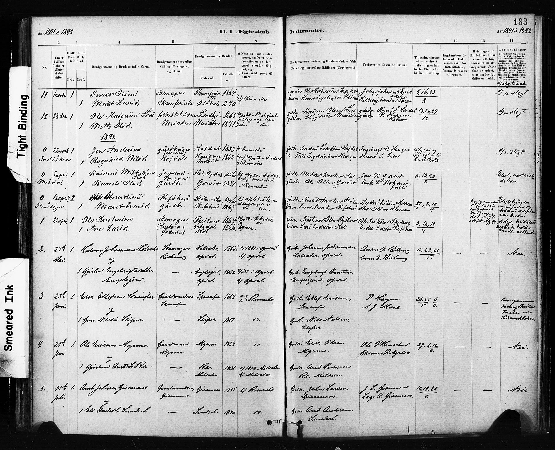 Ministerialprotokoller, klokkerbøker og fødselsregistre - Sør-Trøndelag, SAT/A-1456/674/L0871: Parish register (official) no. 674A03, 1880-1896, p. 133