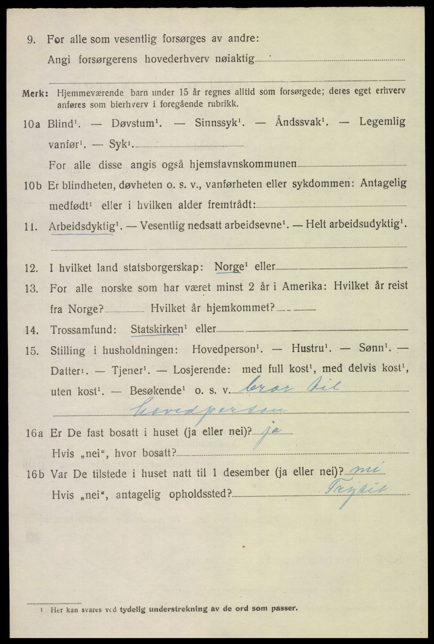 SAH, 1920 census for Trysil, 1920, p. 13018