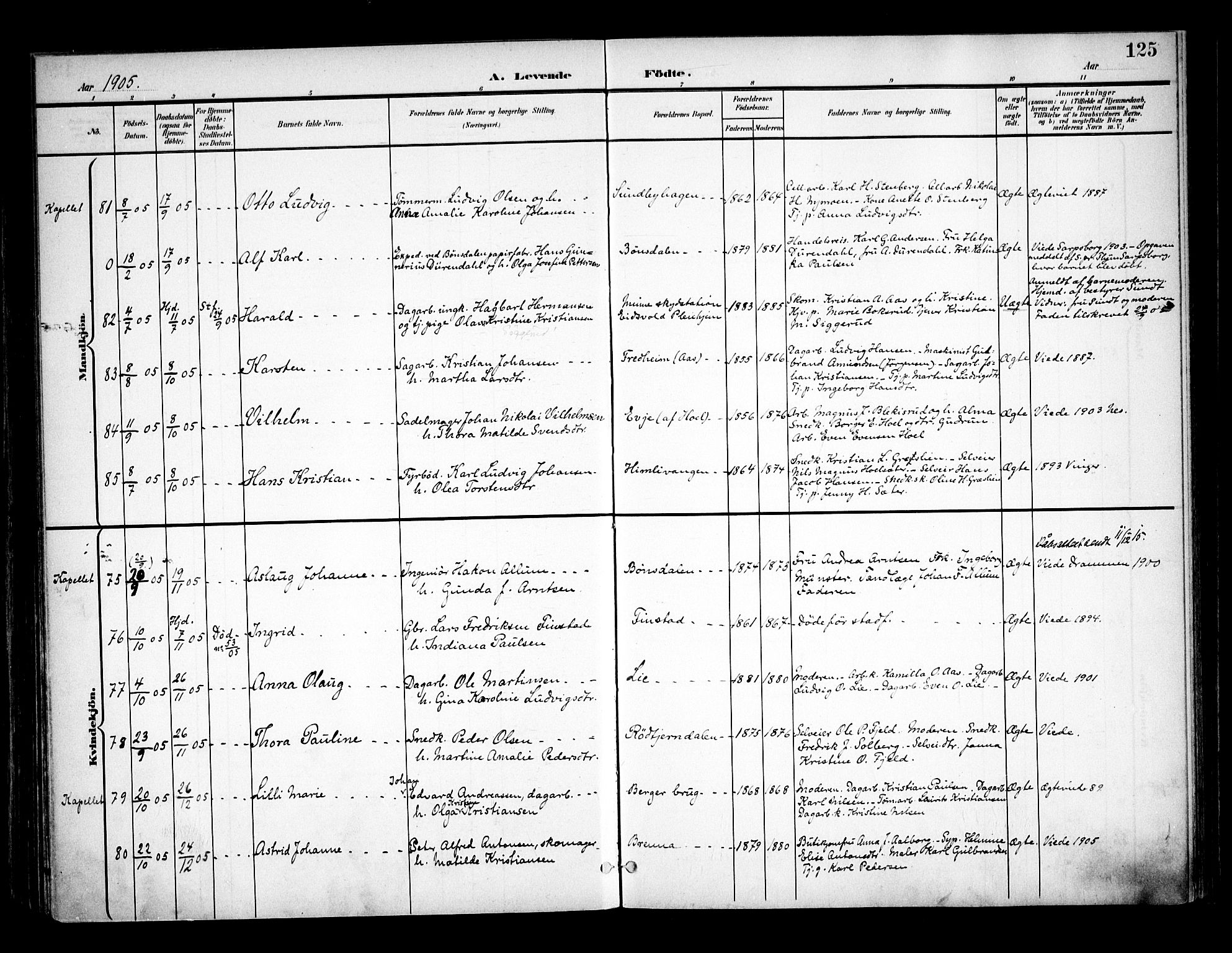 Eidsvoll prestekontor Kirkebøker, SAO/A-10888/F/Fa/L0006: Parish register (official) no. I 6, 1900-1907, p. 125