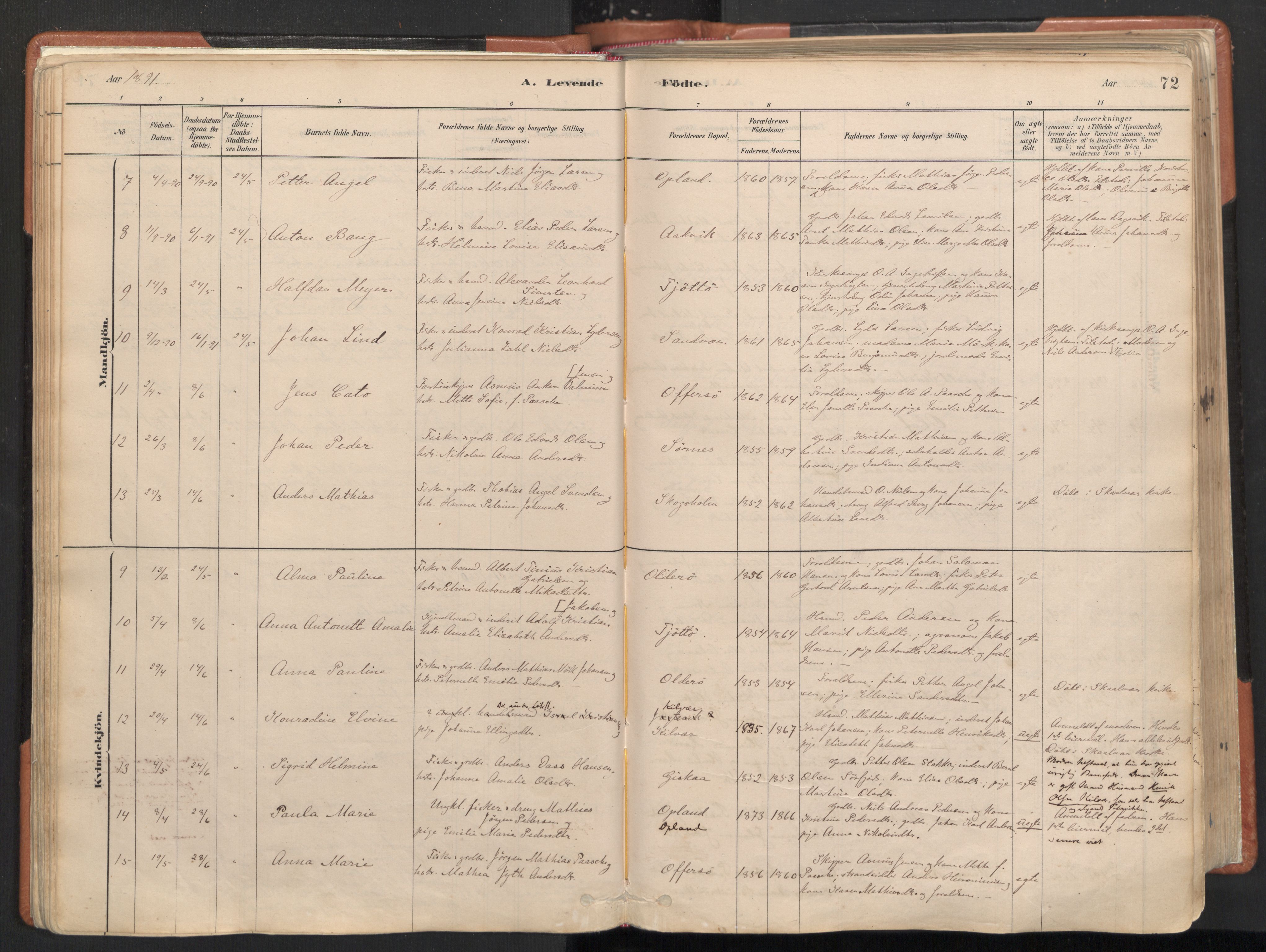 Ministerialprotokoller, klokkerbøker og fødselsregistre - Nordland, SAT/A-1459/817/L0264: Parish register (official) no. 817A04, 1878-1907, p. 72