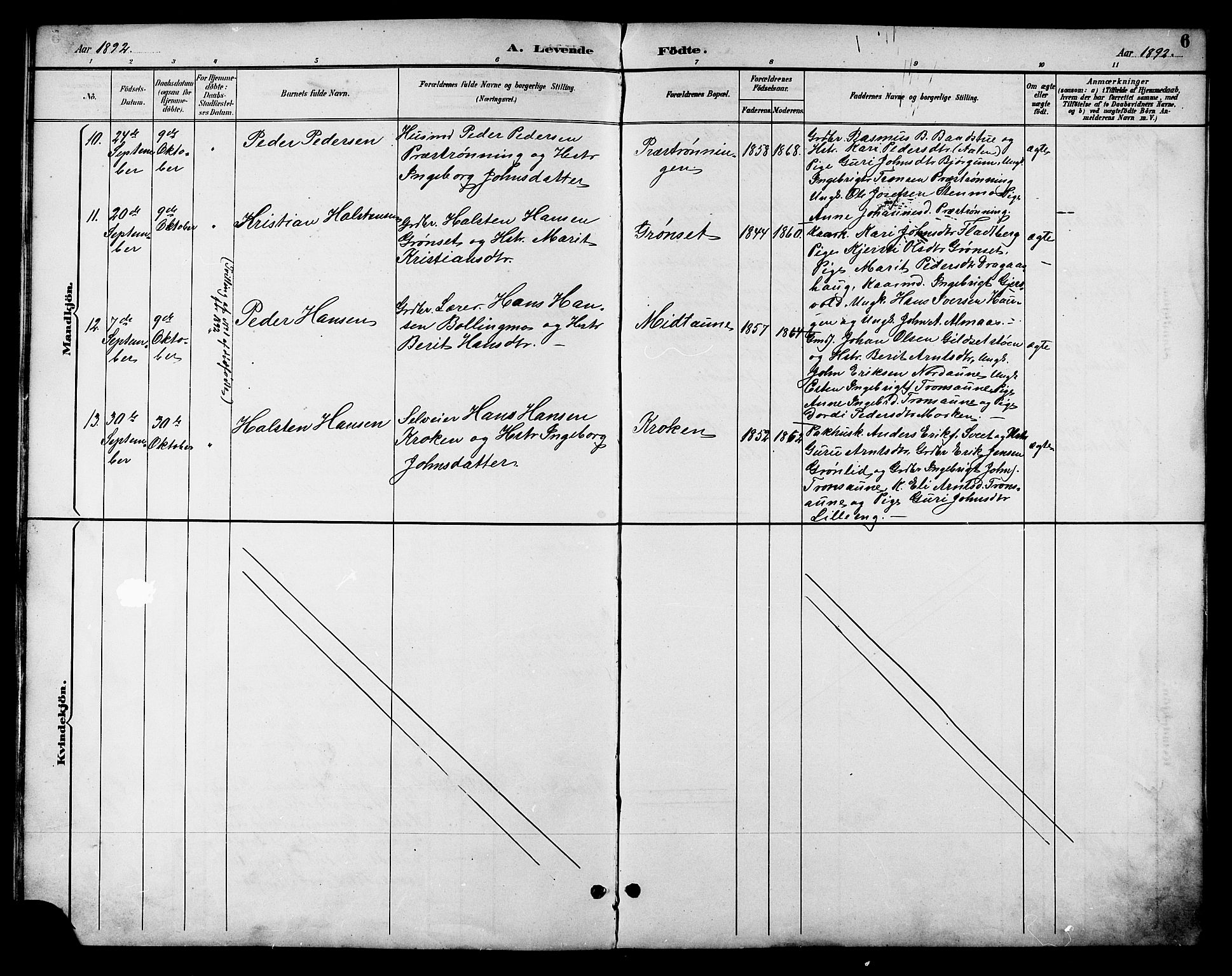 Ministerialprotokoller, klokkerbøker og fødselsregistre - Sør-Trøndelag, AV/SAT-A-1456/685/L0978: Parish register (copy) no. 685C03, 1891-1907, p. 6