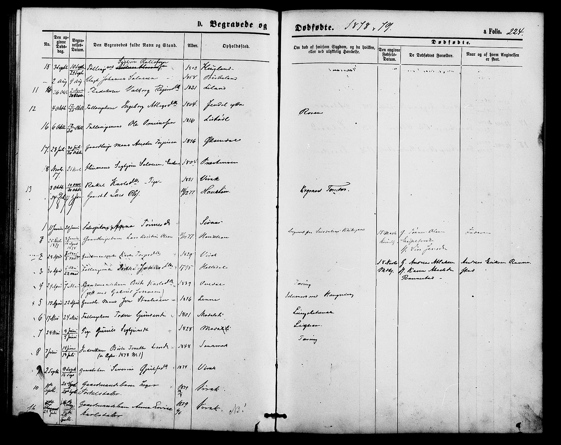 Bakke sokneprestkontor, SAK/1111-0002/F/Fa/Faa/L0007: Parish register (official) no. A 7, 1877-1886, p. 224