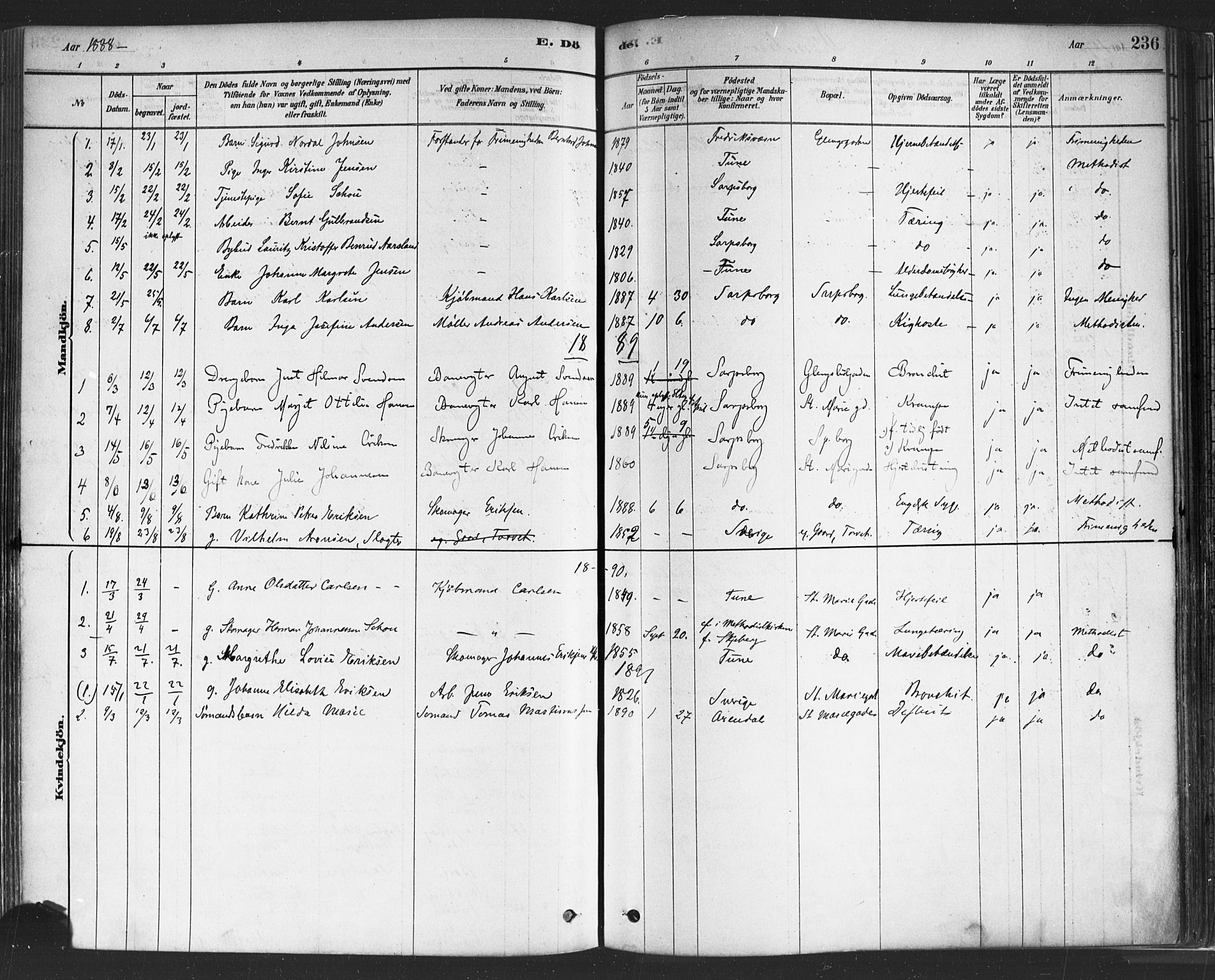 Sarpsborg prestekontor Kirkebøker, SAO/A-2006/F/Fa/L0003: Parish register (official) no. 3, 1878-1891, p. 236