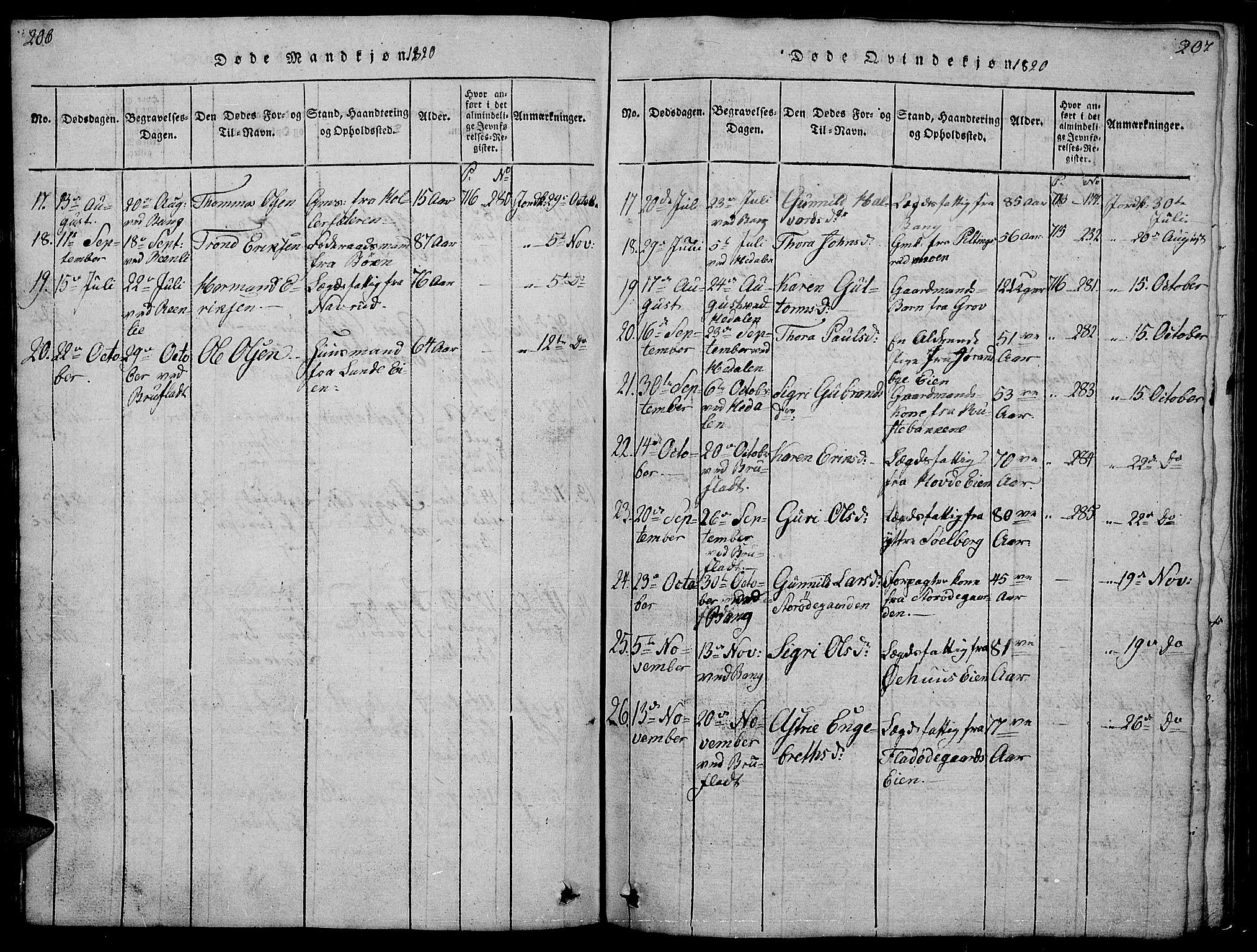 Sør-Aurdal prestekontor, SAH/PREST-128/H/Ha/Hab/L0001: Parish register (copy) no. 1, 1815-1826, p. 206-207