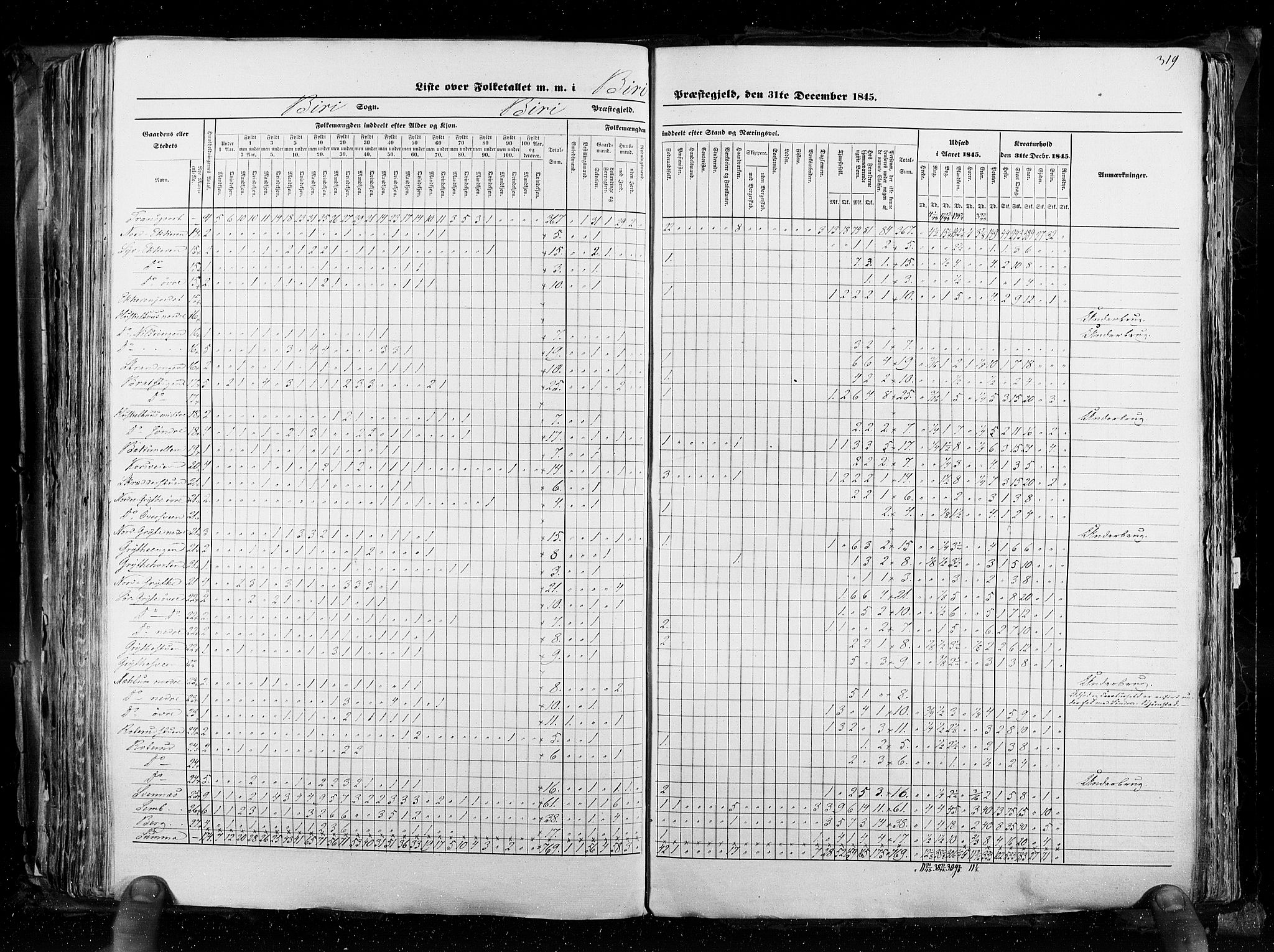 RA, Census 1845, vol. 3: Hedemarken amt og Kristians amt, 1845, p. 319