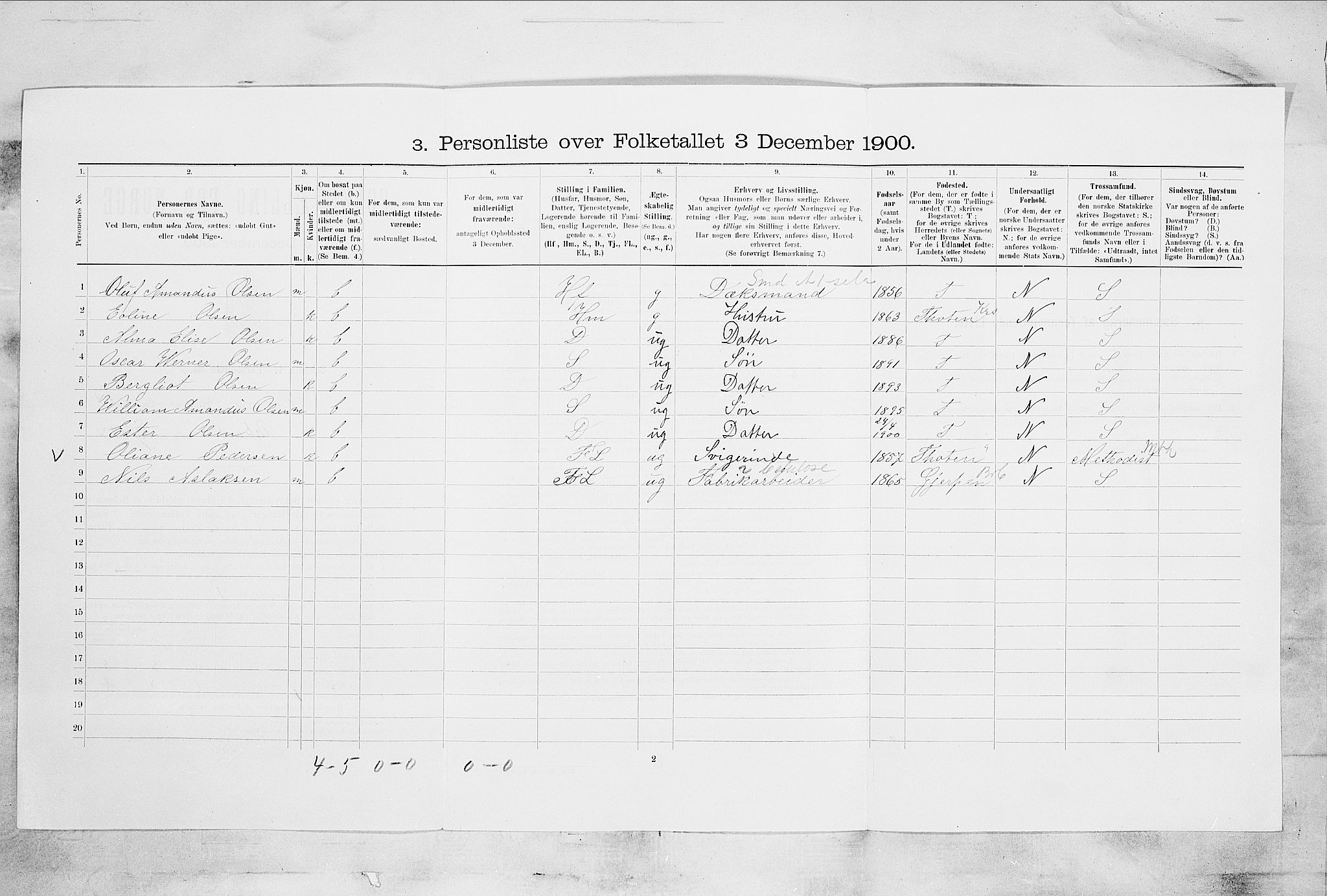 SAKO, 1900 census for Skien, 1900, p. 2329