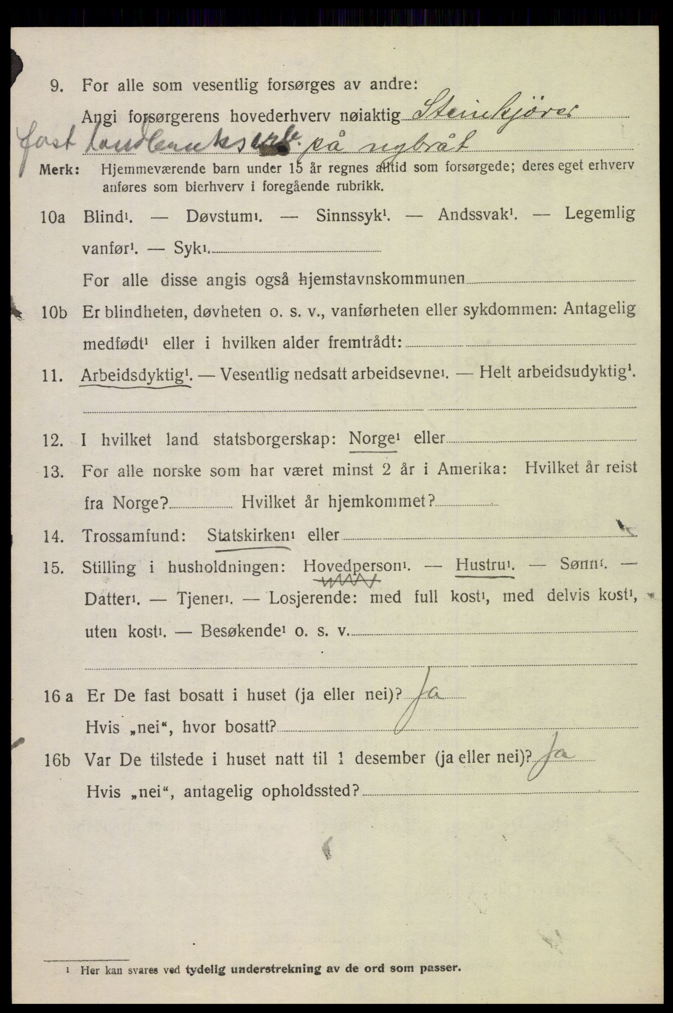 SAH, 1920 census for Heidal, 1920, p. 1419