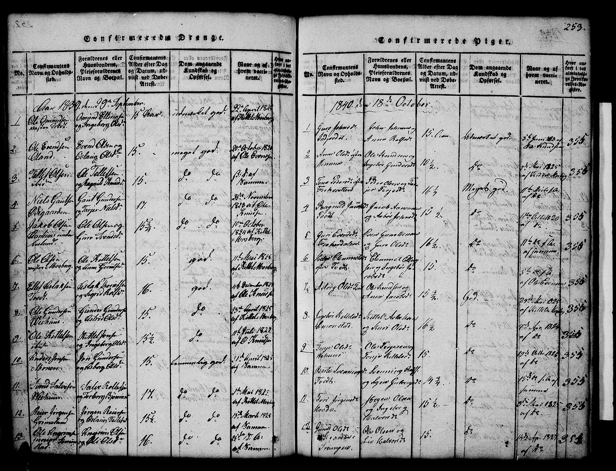 Åmli sokneprestkontor, AV/SAK-1111-0050/F/Fb/Fbc/L0001: Parish register (copy) no. B 1, 1816-1867, p. 253