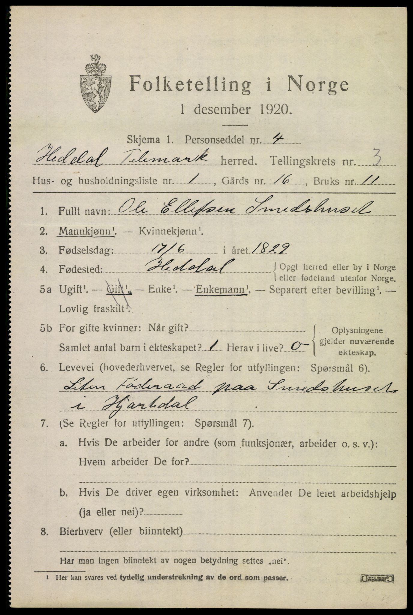 SAKO, 1920 census for Heddal, 1920, p. 3652