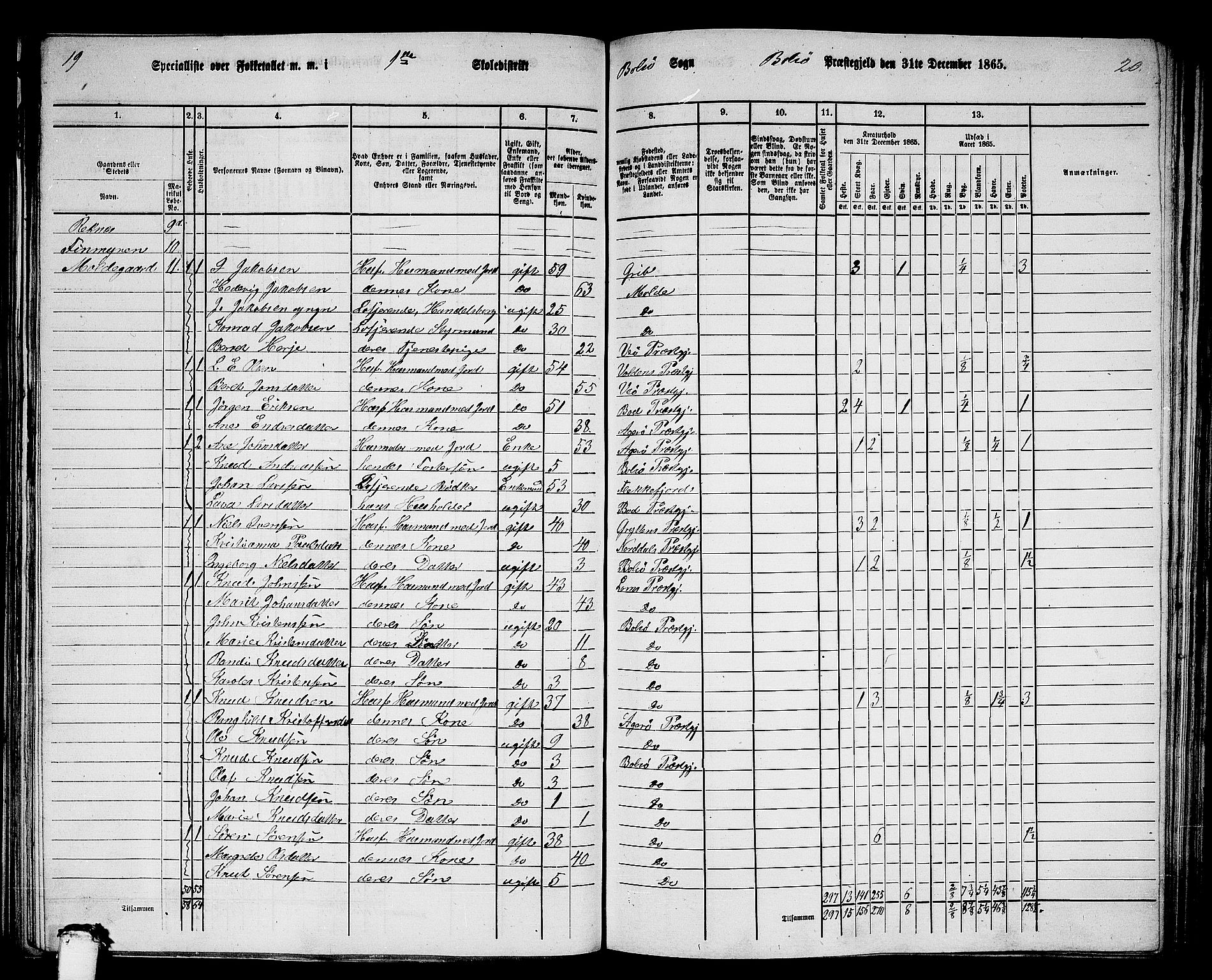 RA, 1865 census for Bolsøy, 1865, p. 17