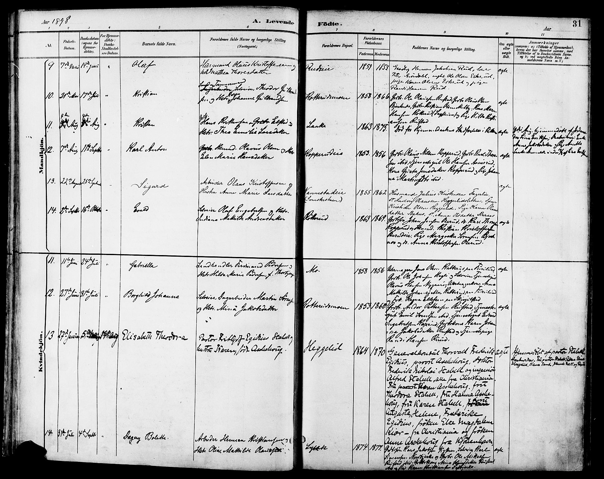 Nannestad prestekontor Kirkebøker, SAO/A-10414a/F/Fa/L0015: Parish register (official) no. I 15, 1891-1905, p. 31