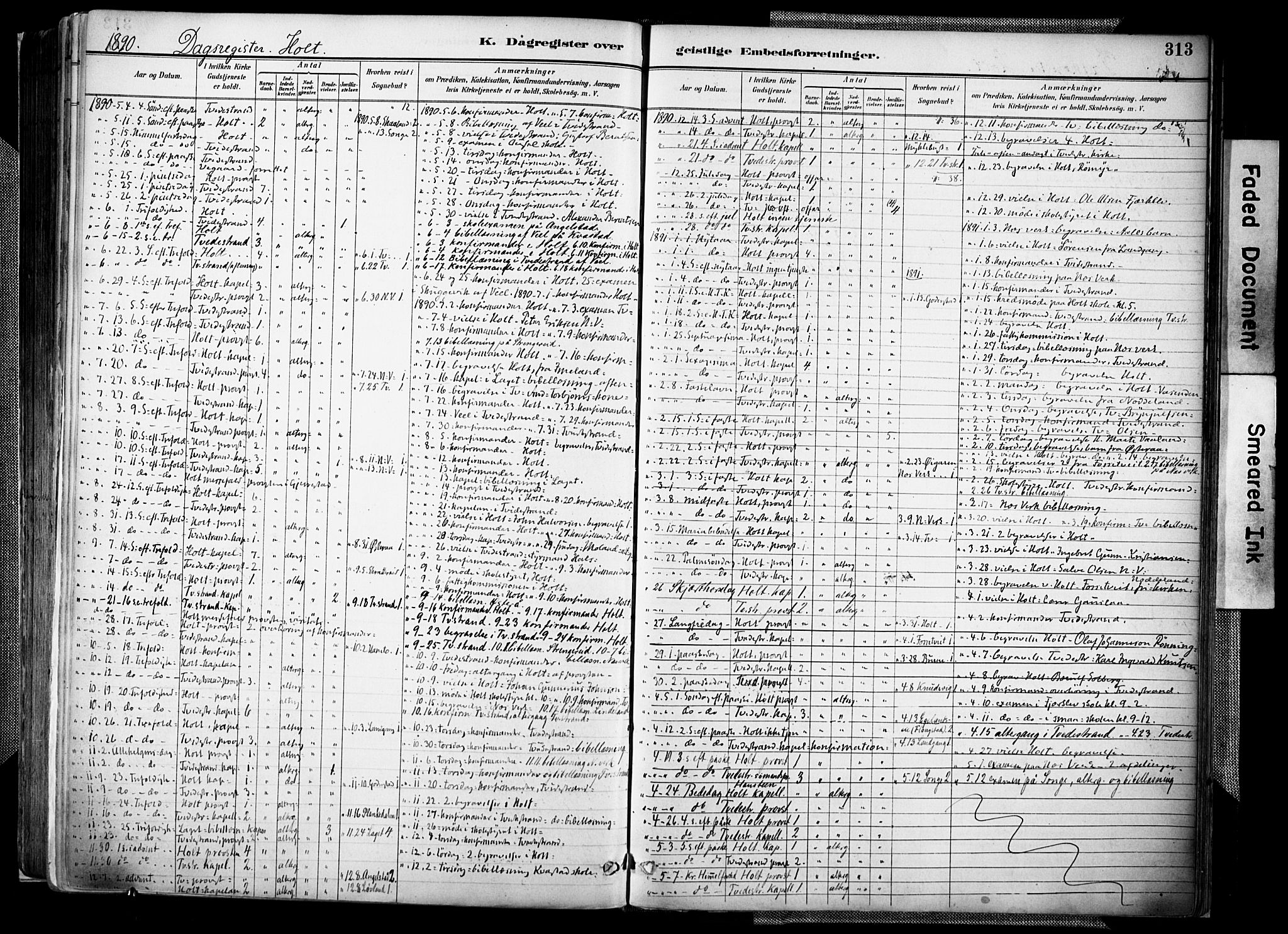 Holt sokneprestkontor, AV/SAK-1111-0021/F/Fa/L0012: Parish register (official) no. A 12, 1885-1907, p. 313