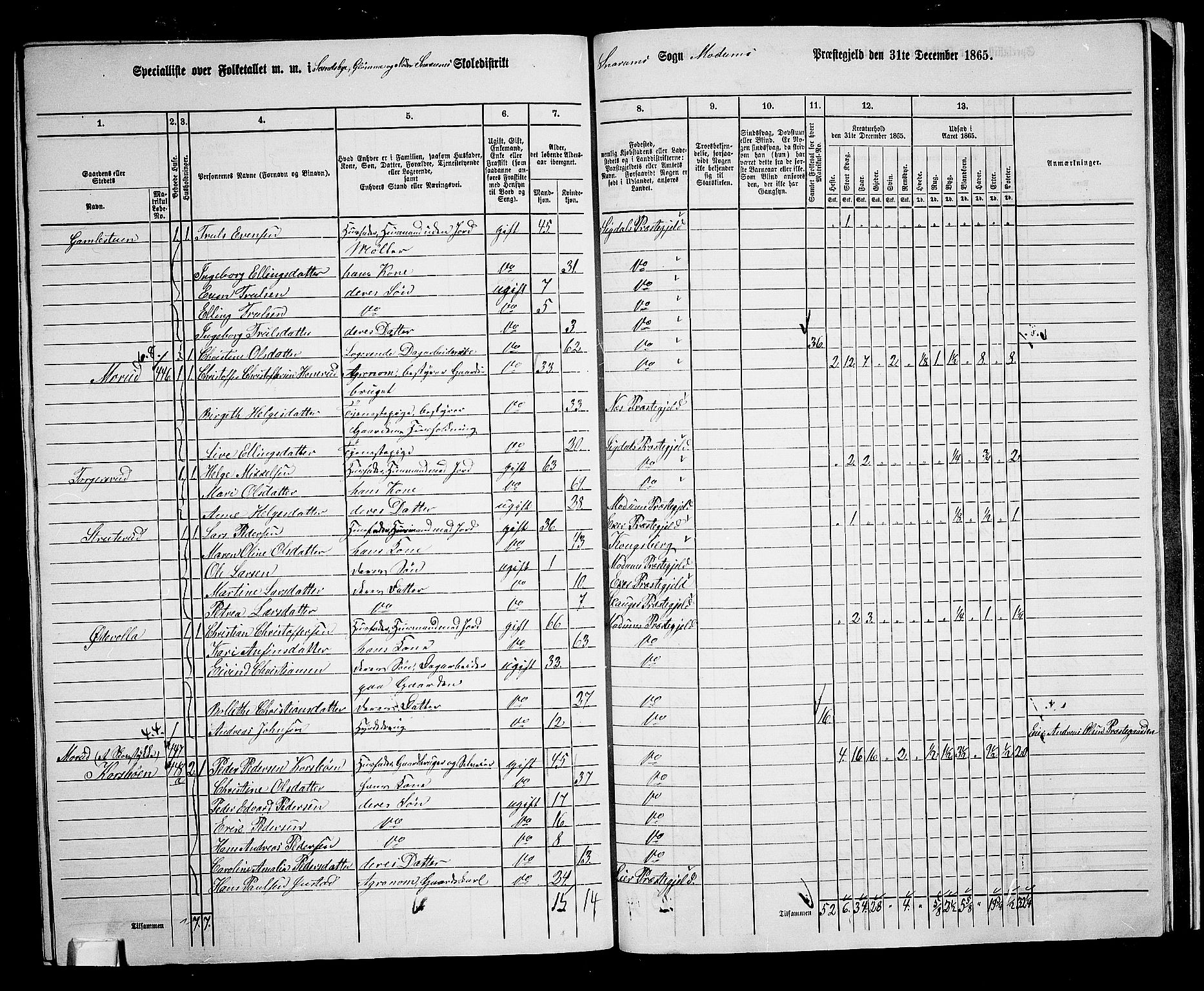 RA, 1865 census for Modum, 1865, p. 314