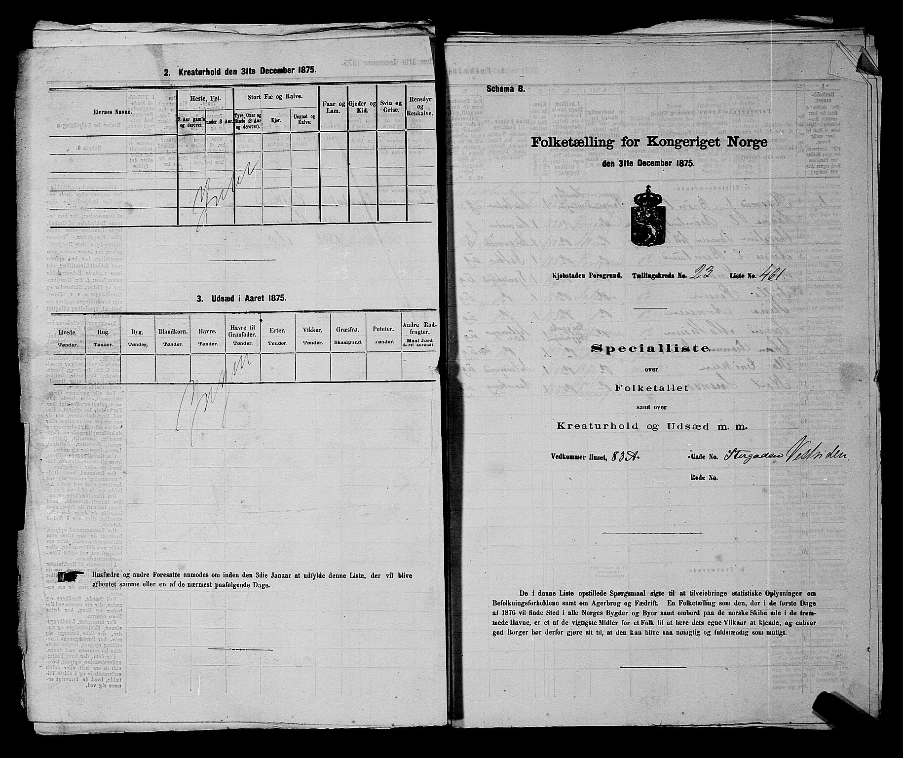 SAKO, 1875 census for 0805P Porsgrunn, 1875, p. 1033