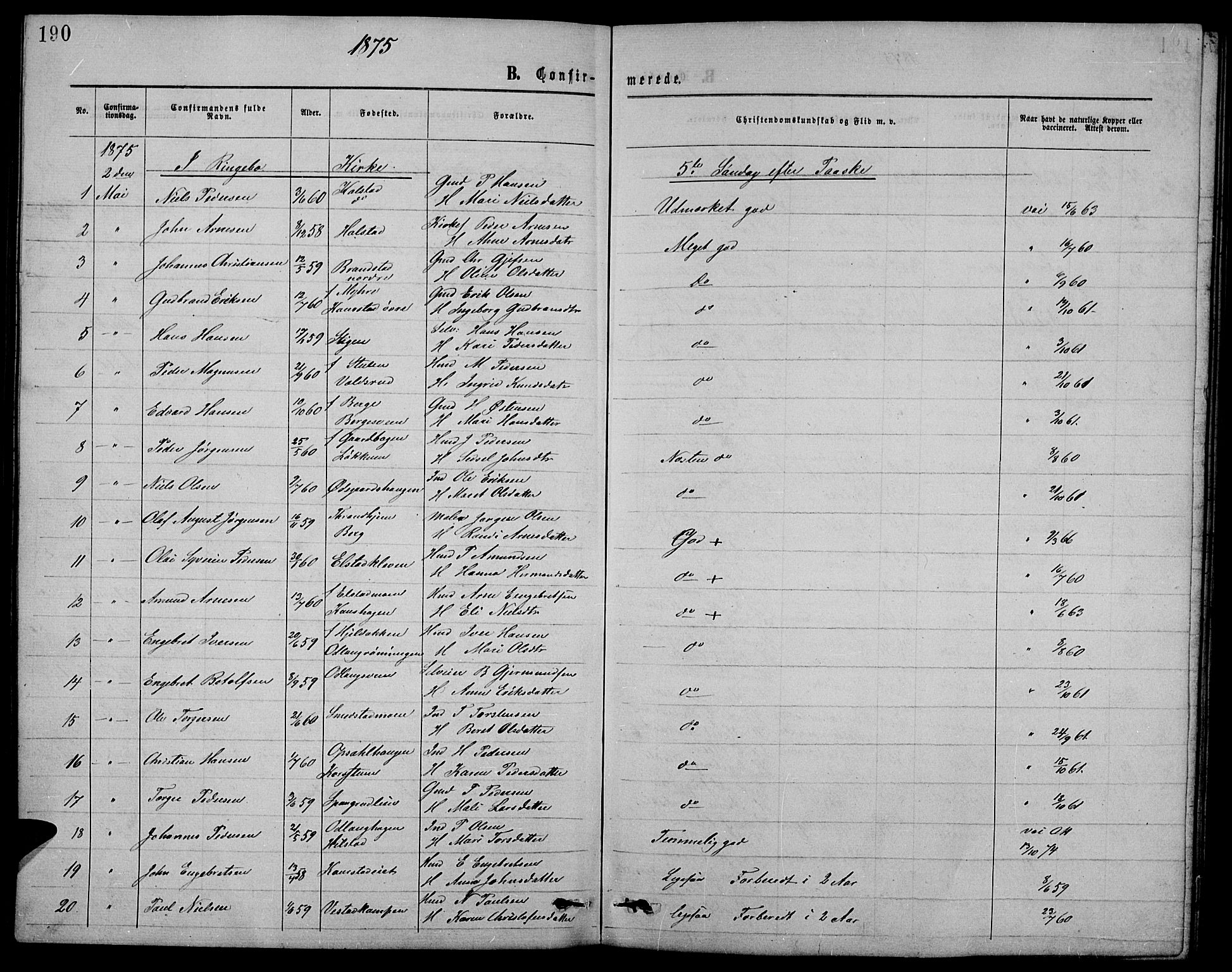 Ringebu prestekontor, SAH/PREST-082/H/Ha/Hab/L0004: Parish register (copy) no. 4, 1867-1879, p. 190