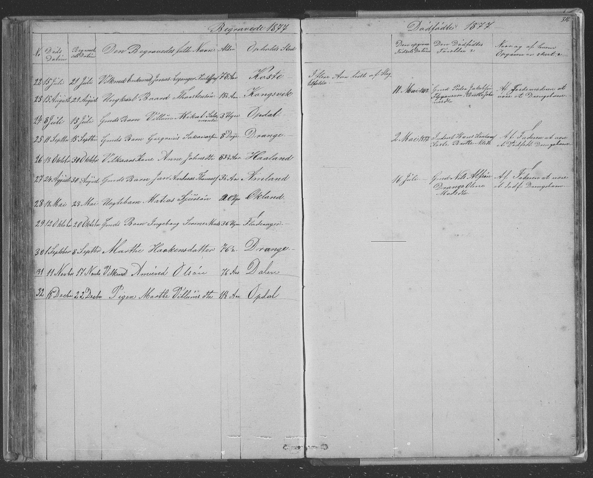 Tysnes sokneprestembete, AV/SAB-A-78601/H/Hab: Parish register (copy) no. E 2, 1875-1897, p. 316