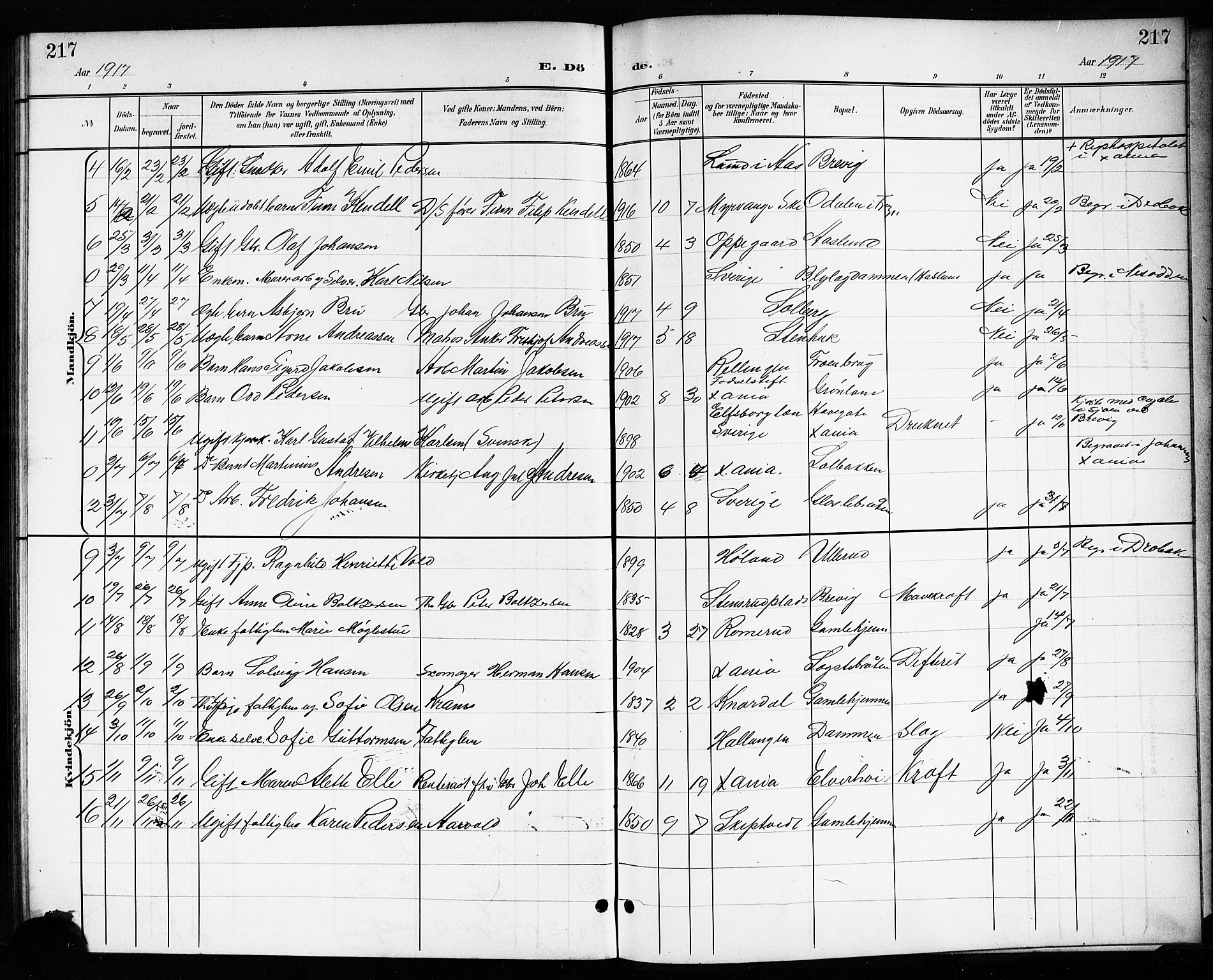 Drøbak prestekontor Kirkebøker, SAO/A-10142a/G/Gb/L0001: Parish register (copy) no. II 1, 1901-1919, p. 217