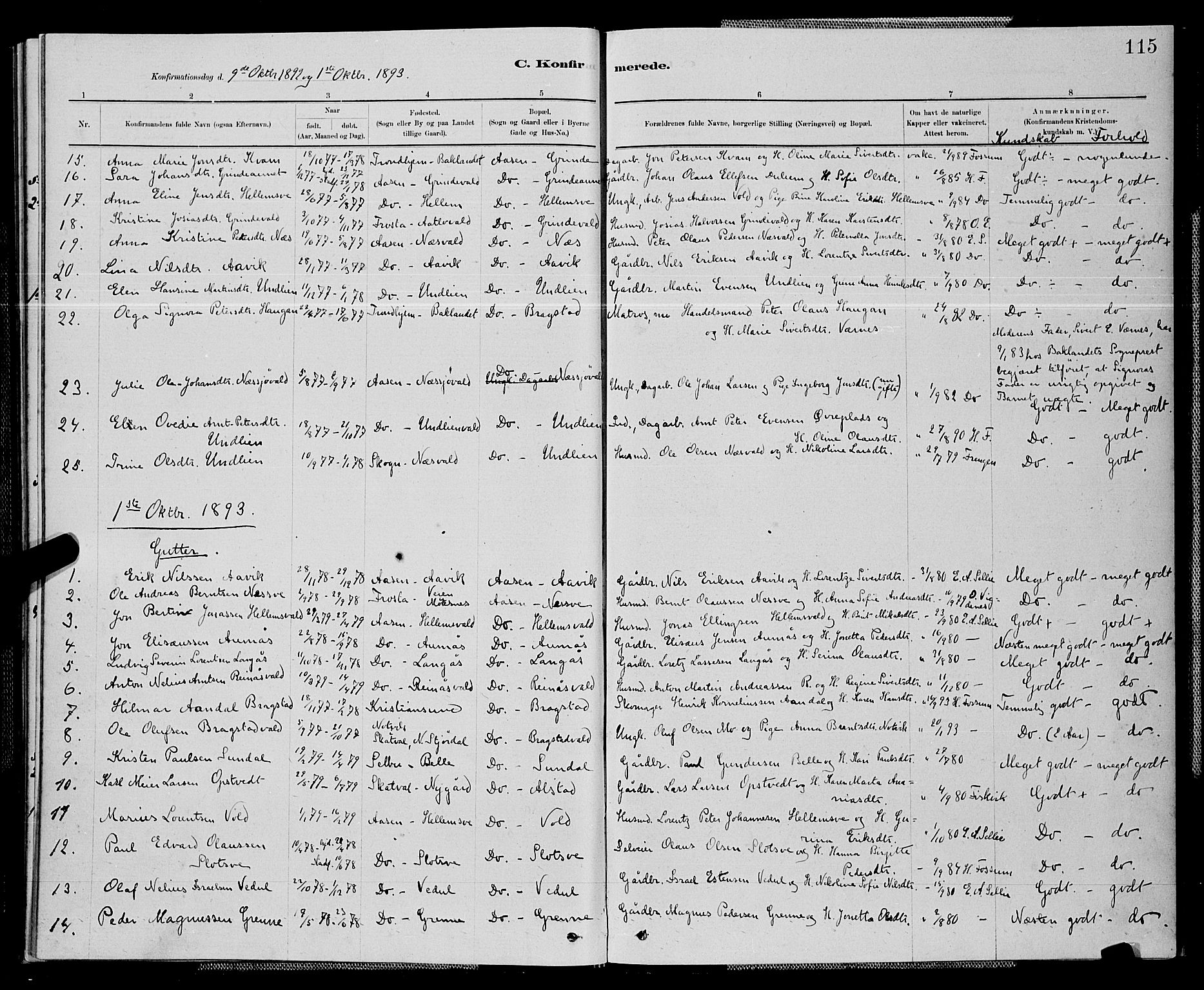 Ministerialprotokoller, klokkerbøker og fødselsregistre - Nord-Trøndelag, SAT/A-1458/714/L0134: Parish register (copy) no. 714C03, 1878-1898, p. 115