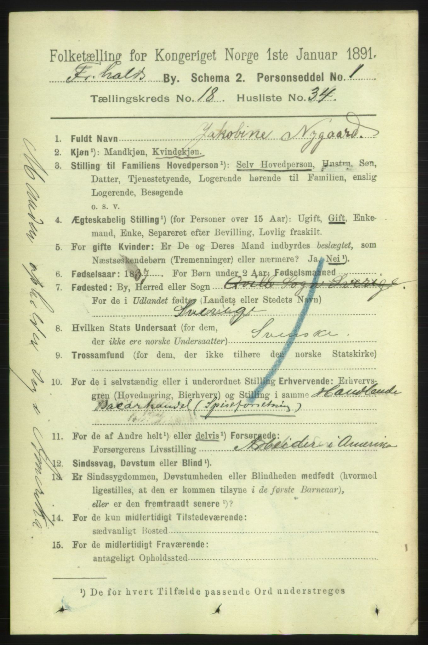 RA, 1891 census for 0101 Fredrikshald, 1891, p. 11843