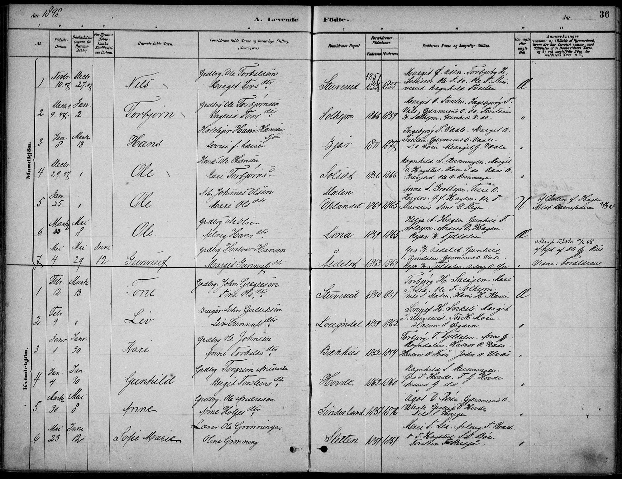 Hjartdal kirkebøker, SAKO/A-270/F/Fc/L0002: Parish register (official) no. III 2, 1880-1936, p. 36