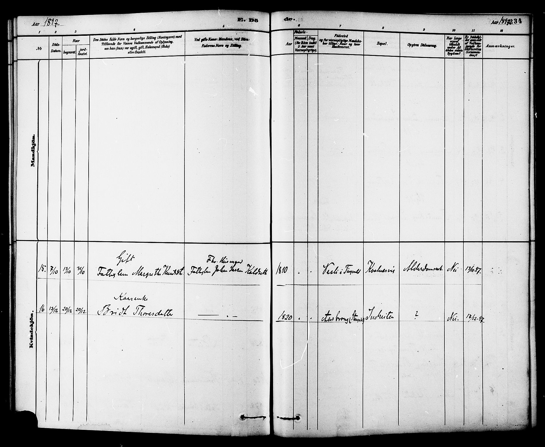 Ministerialprotokoller, klokkerbøker og fødselsregistre - Møre og Romsdal, AV/SAT-A-1454/576/L0885: Parish register (official) no. 576A03, 1880-1898, p. 234