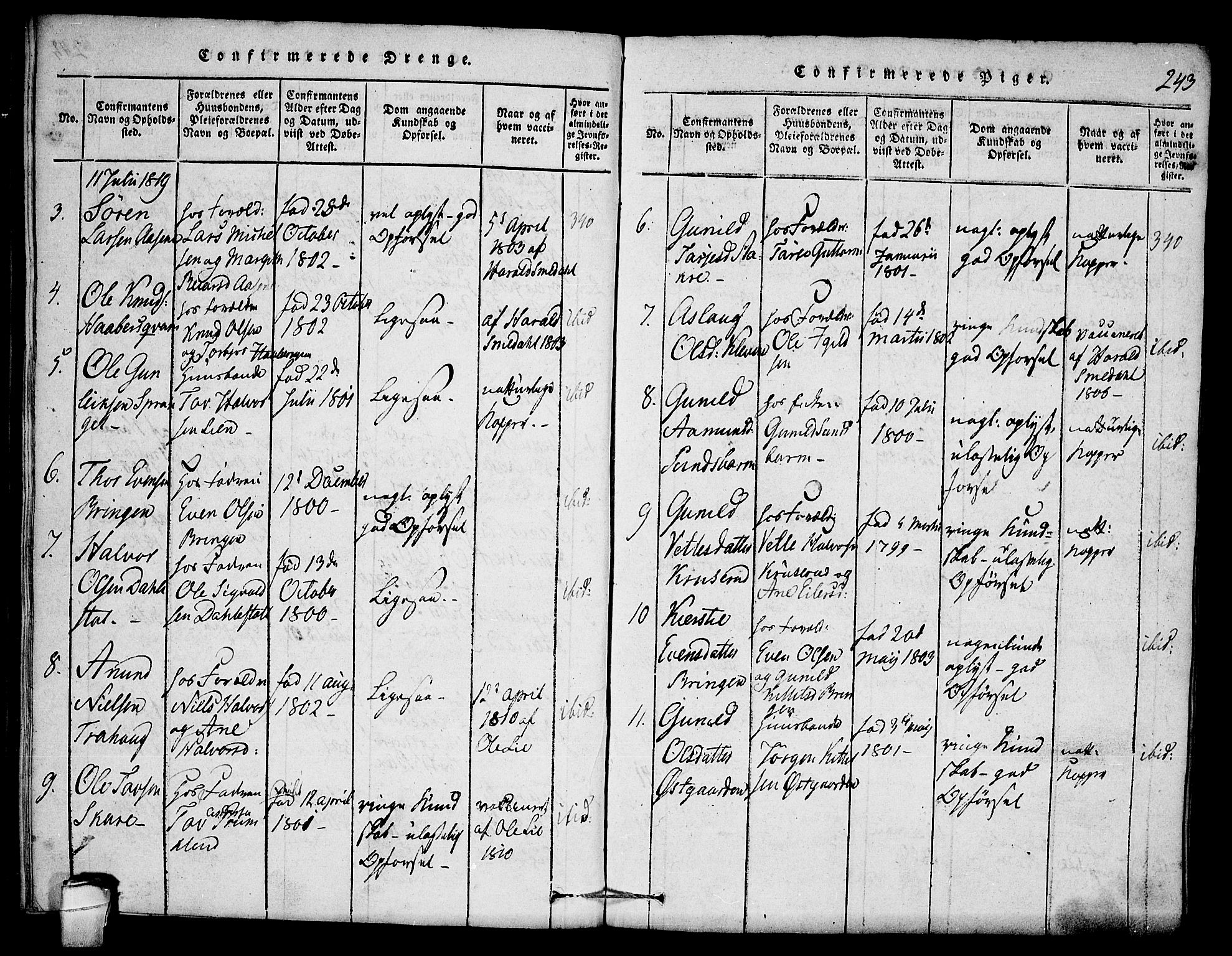 Seljord kirkebøker, SAKO/A-20/F/Fb/L0001: Parish register (official) no. II 1, 1815-1831, p. 243