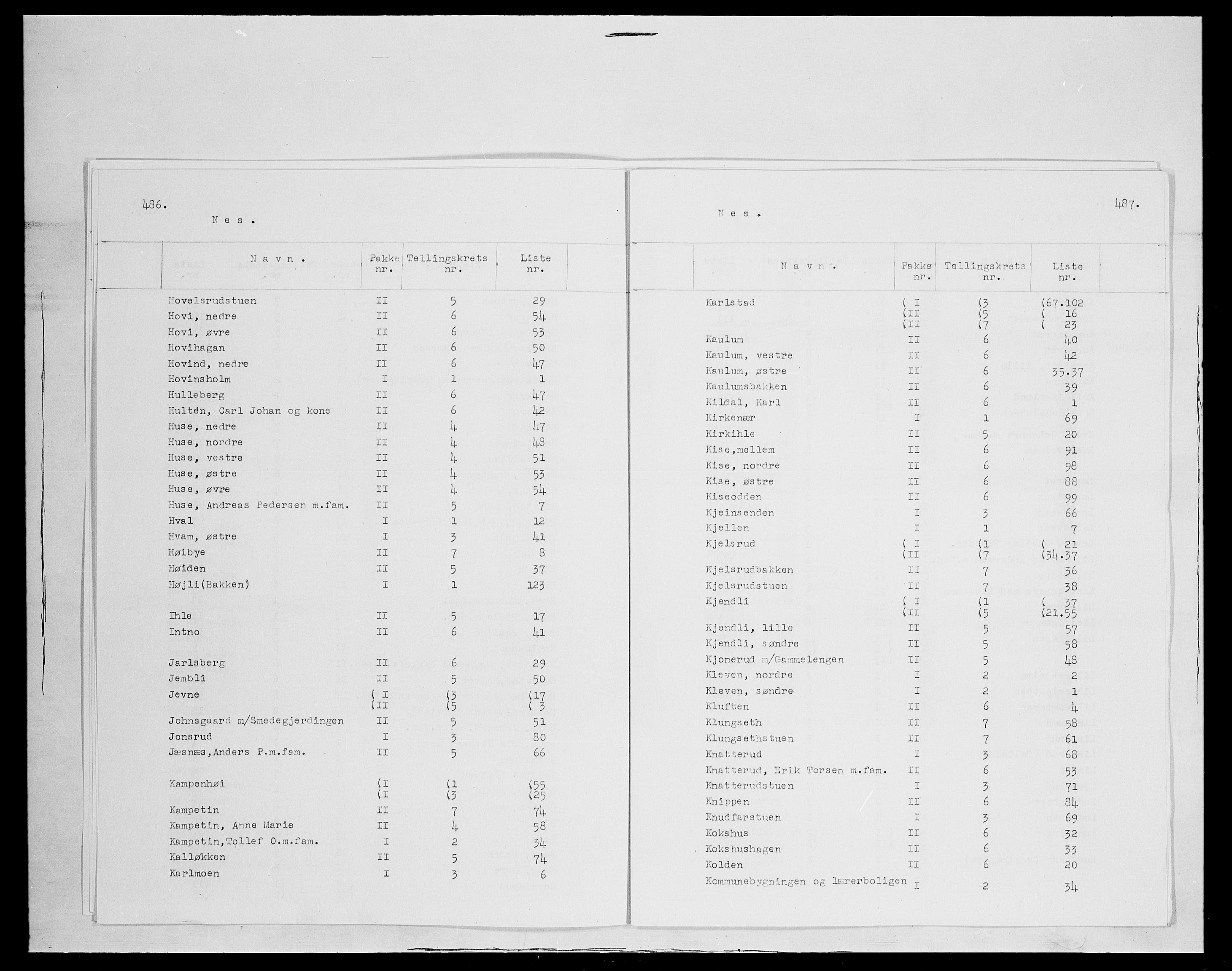 SAH, 1875 census for 0411P Nes, 1875, p. 6