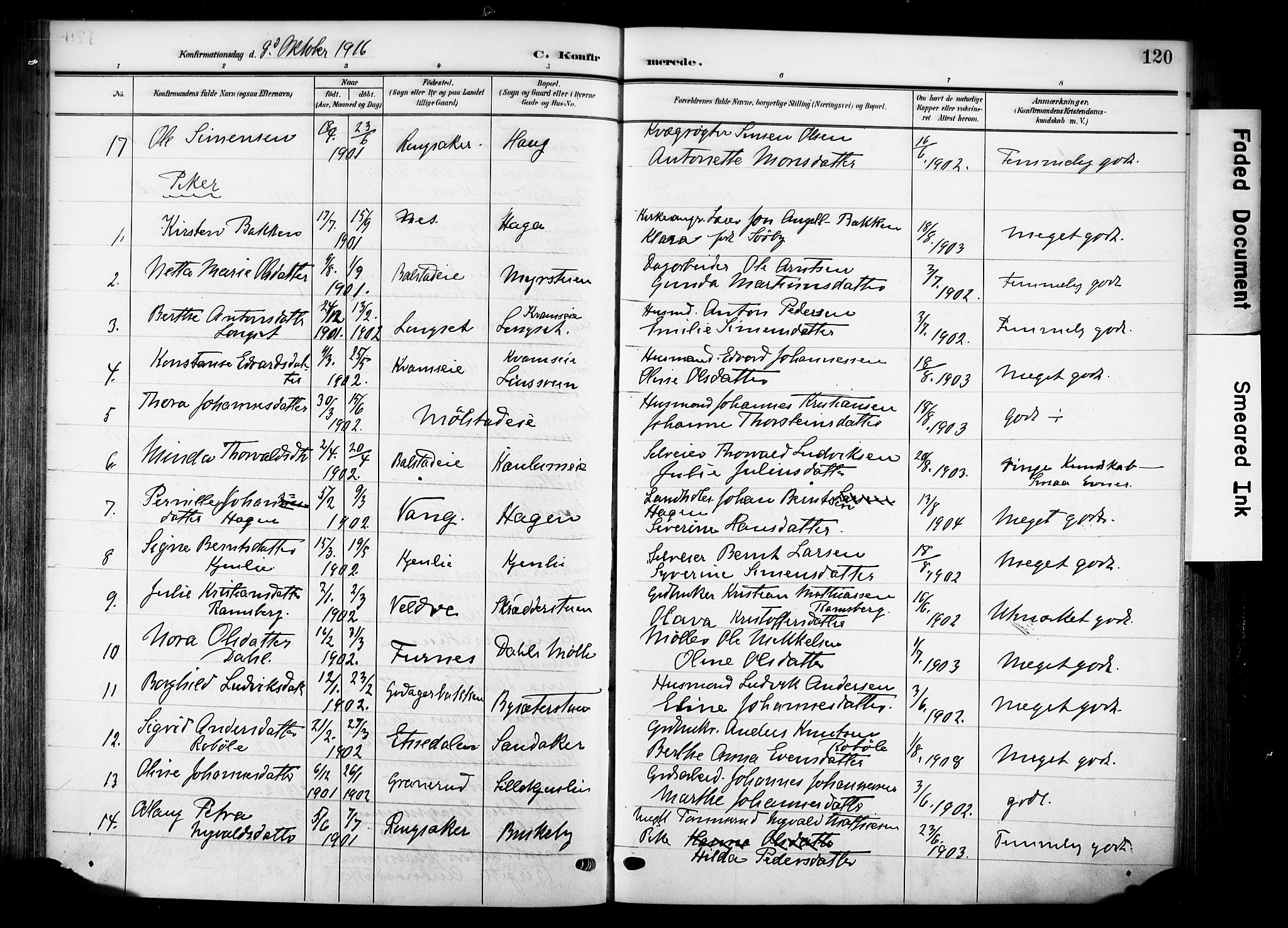 Nes prestekontor, Hedmark, AV/SAH-PREST-020/K/Ka/L0014: Parish register (official) no. 14, 1906-1929, p. 120