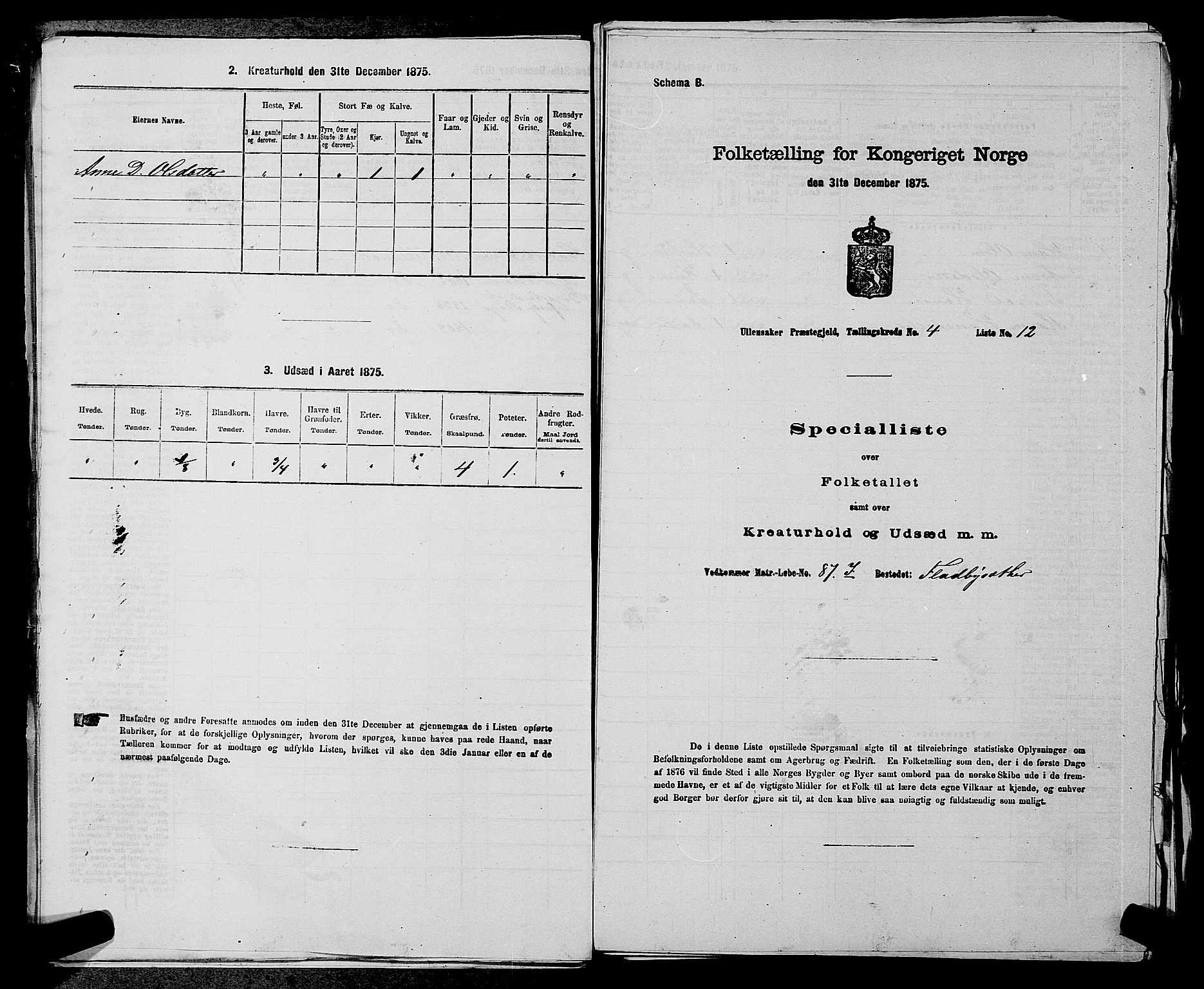 RA, 1875 census for 0235P Ullensaker, 1875, p. 493