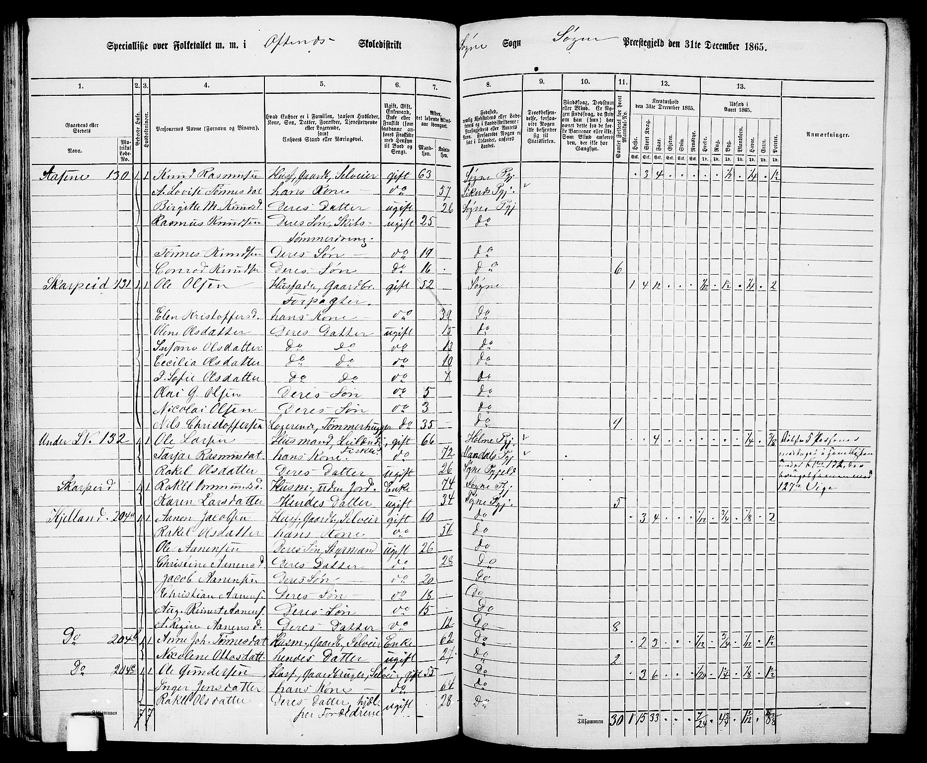 RA, 1865 census for Søgne, 1865, p. 85