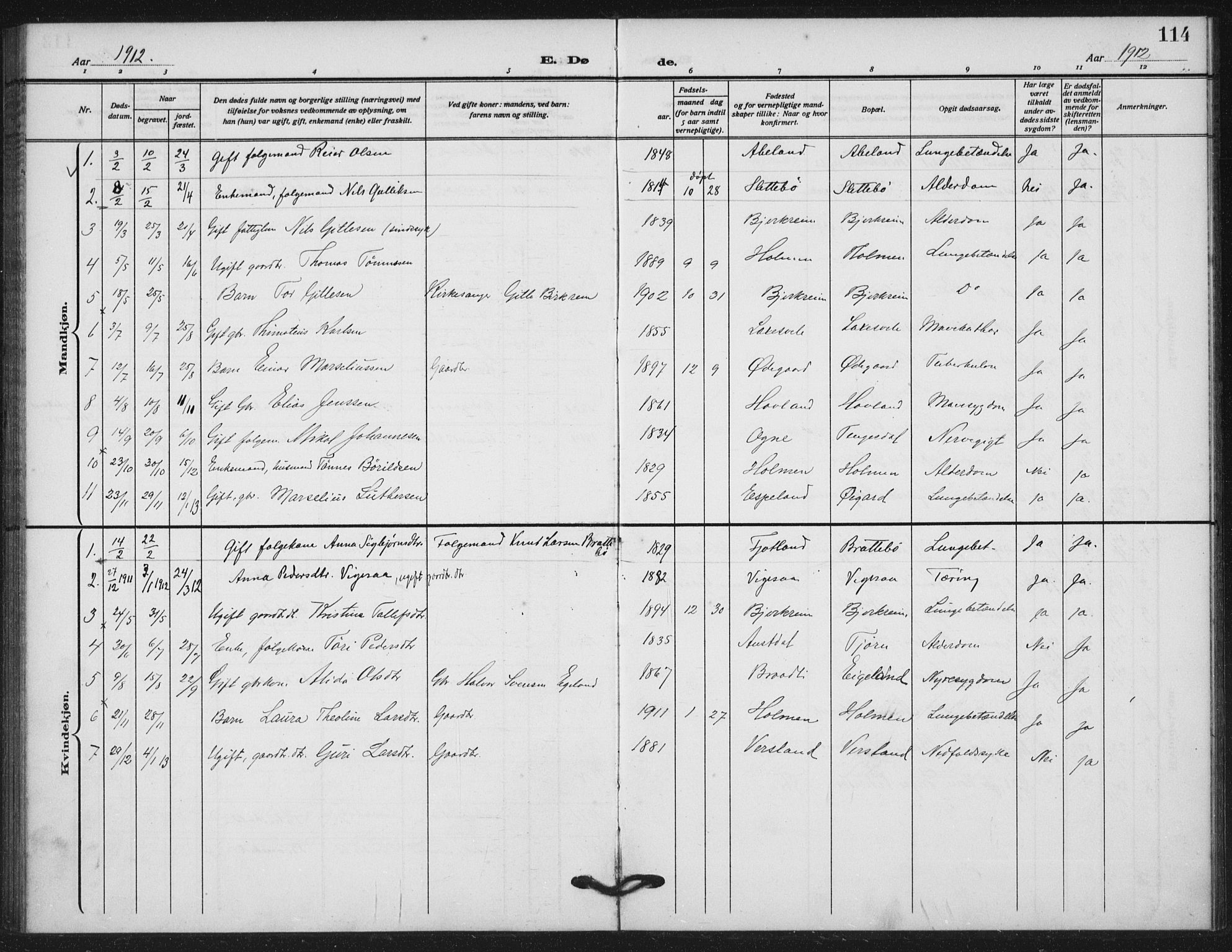 Helleland sokneprestkontor, SAST/A-101810: Parish register (official) no. A 11, 1909-1922, p. 114
