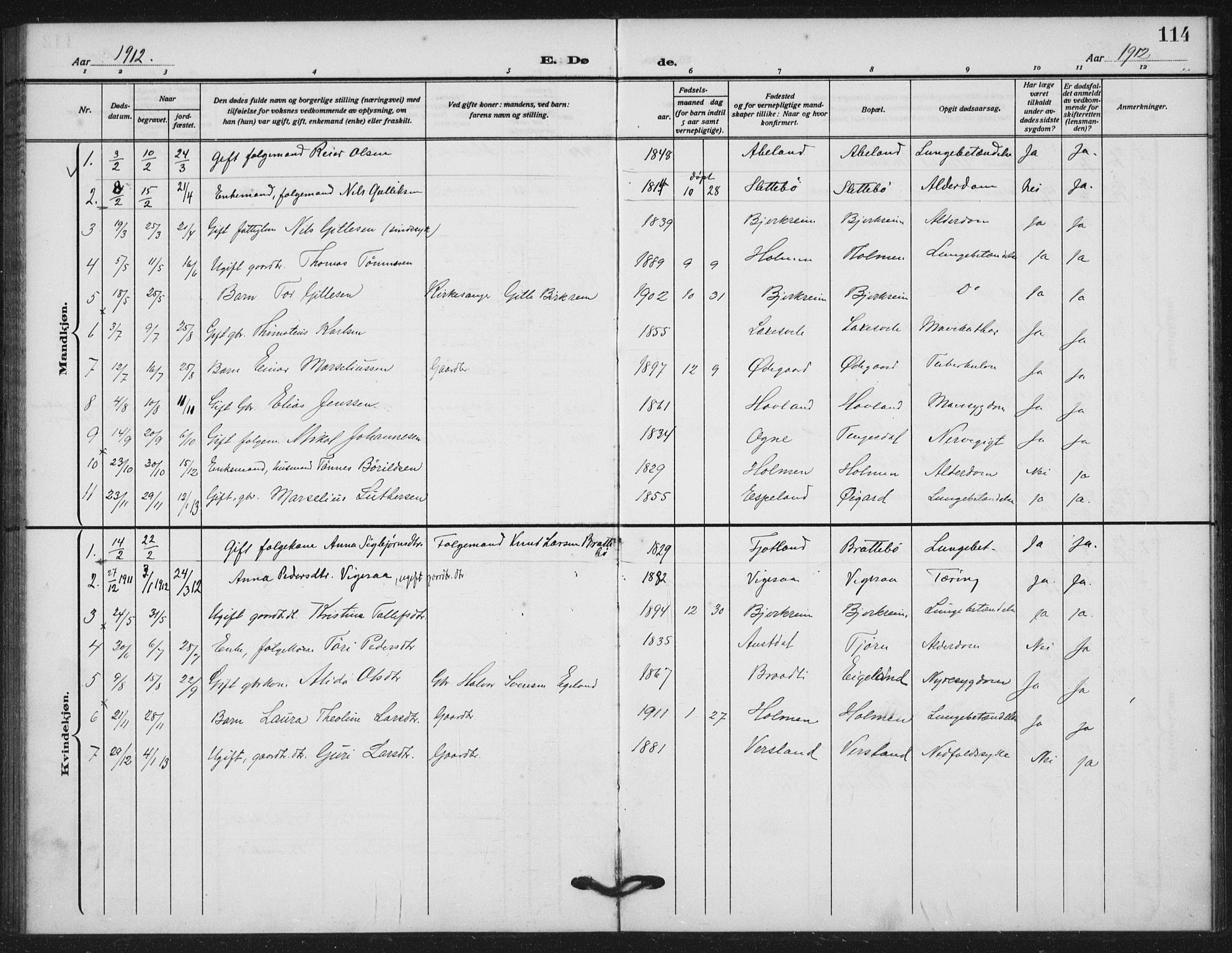 Helleland sokneprestkontor, AV/SAST-A-101810: Parish register (official) no. A 11, 1909-1922, p. 114