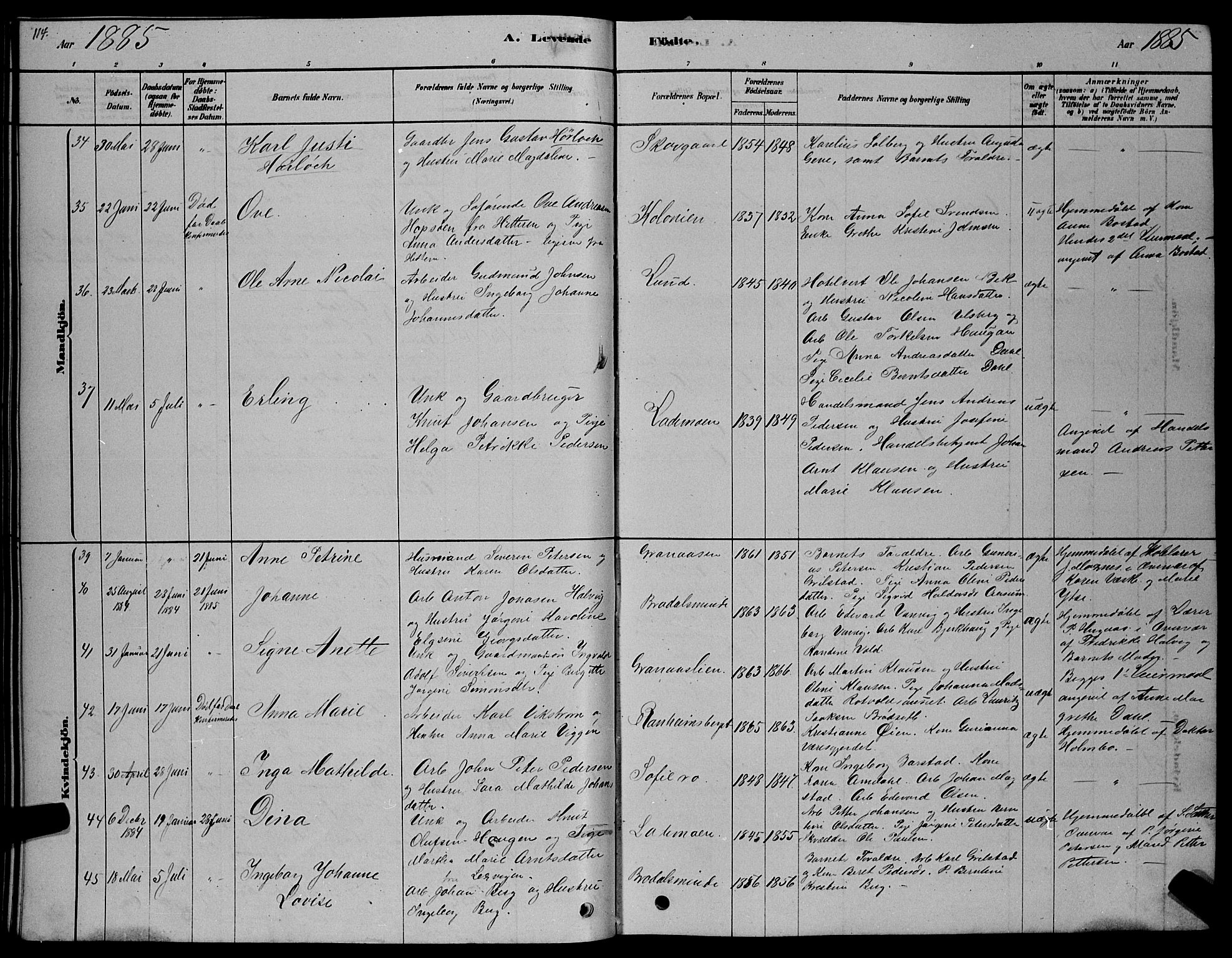 Ministerialprotokoller, klokkerbøker og fødselsregistre - Sør-Trøndelag, SAT/A-1456/606/L0312: Parish register (copy) no. 606C08, 1878-1894, p. 114