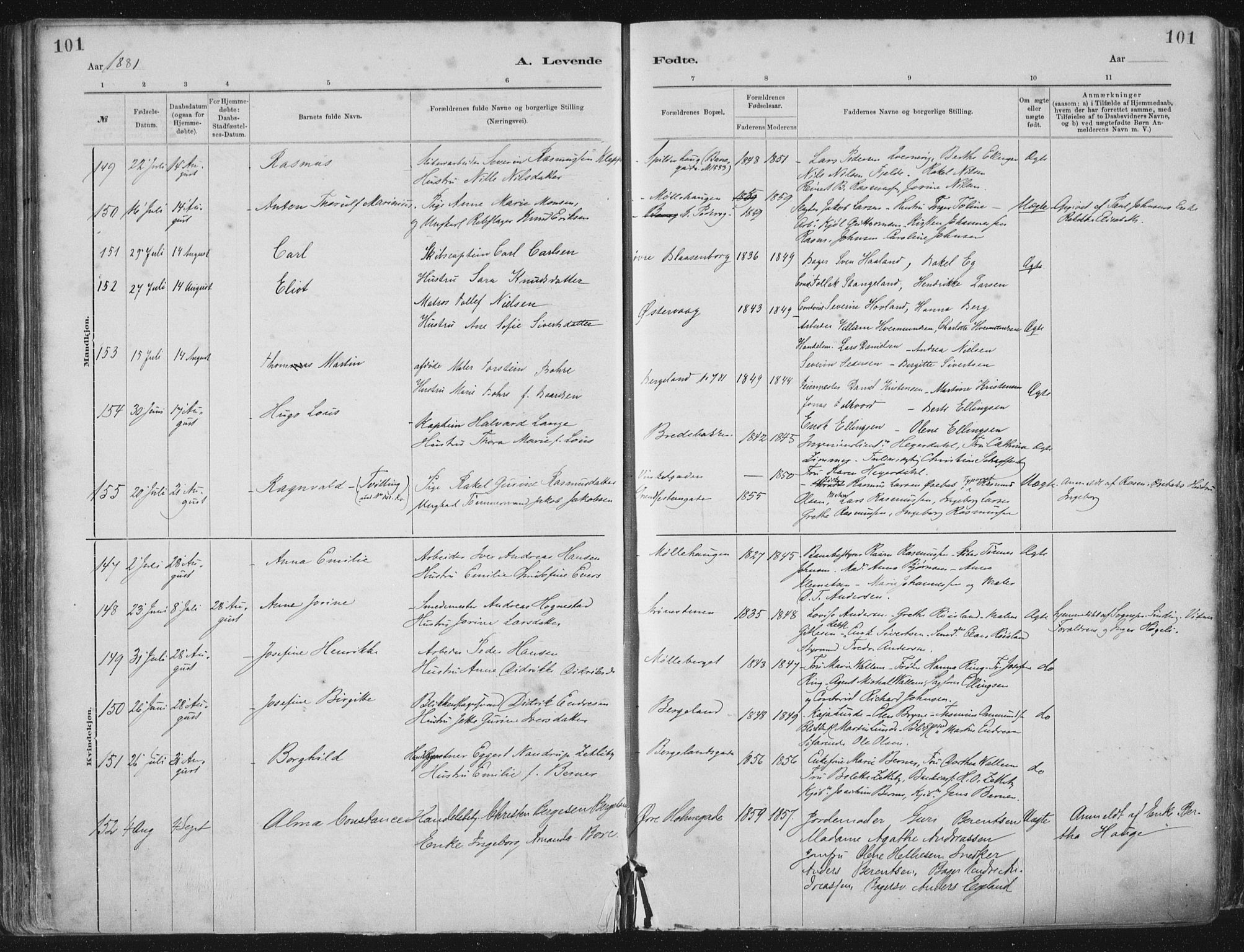 St. Petri sokneprestkontor, AV/SAST-A-101813/001/30/30BA/L0015: Parish register (official) no. A 15, 1879-1888, p. 101