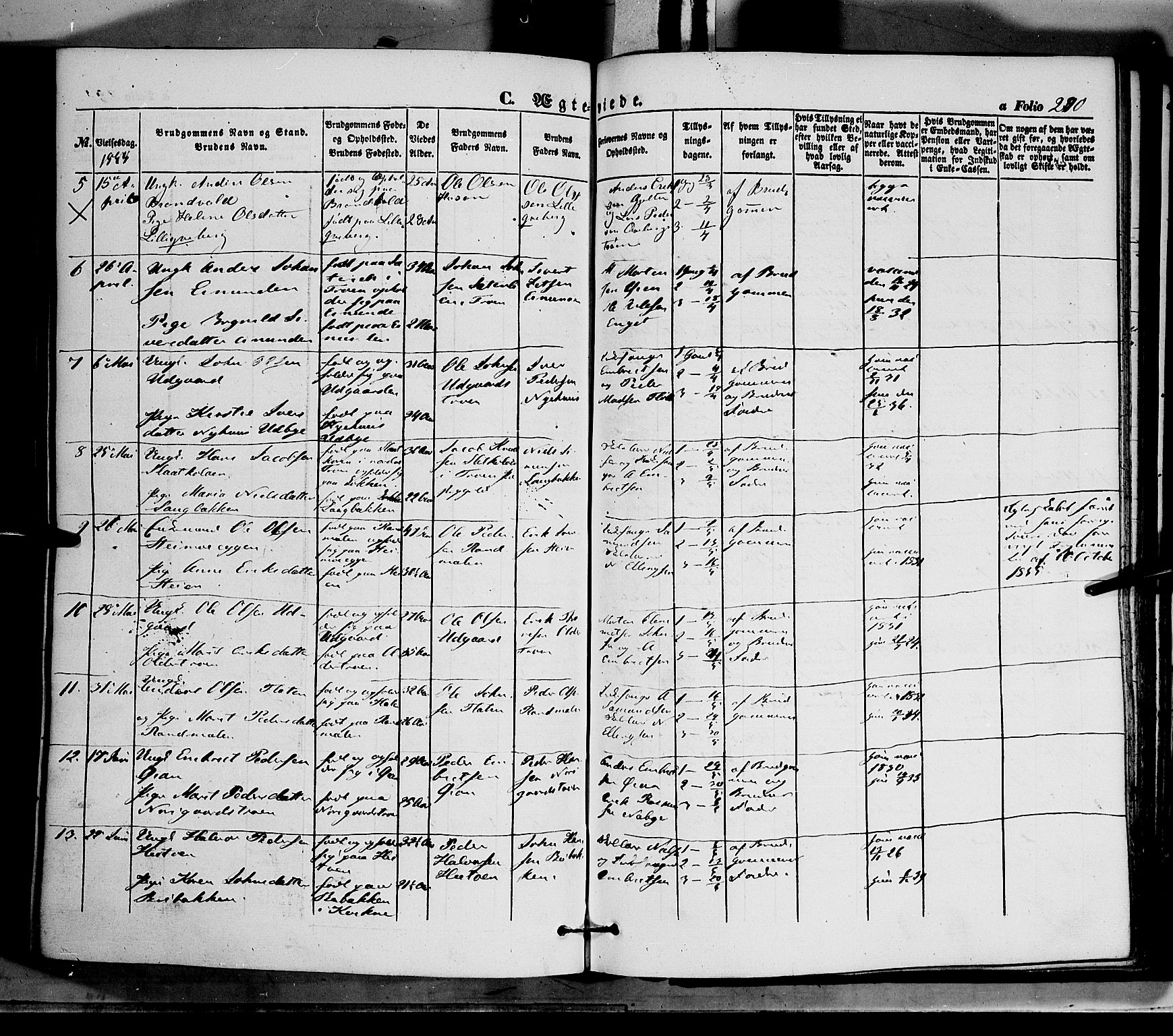 Tynset prestekontor, SAH/PREST-058/H/Ha/Haa/L0020: Parish register (official) no. 20, 1848-1862, p. 290