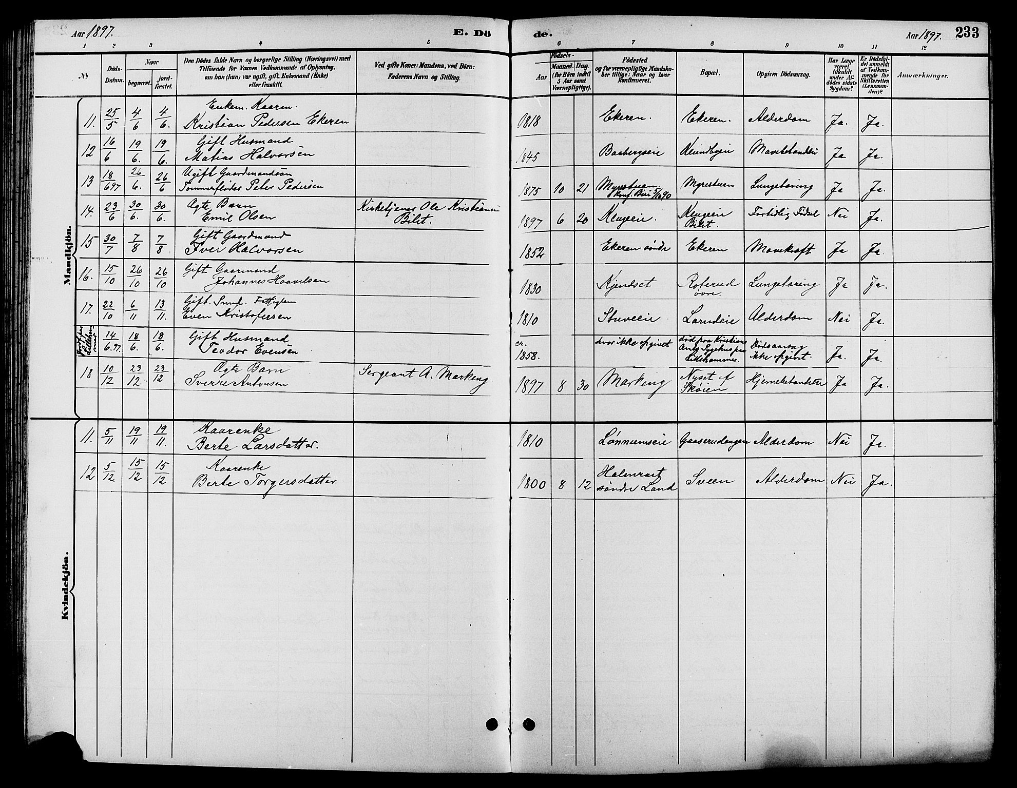 Biri prestekontor, SAH/PREST-096/H/Ha/Hab/L0004: Parish register (copy) no. 4, 1892-1909, p. 233