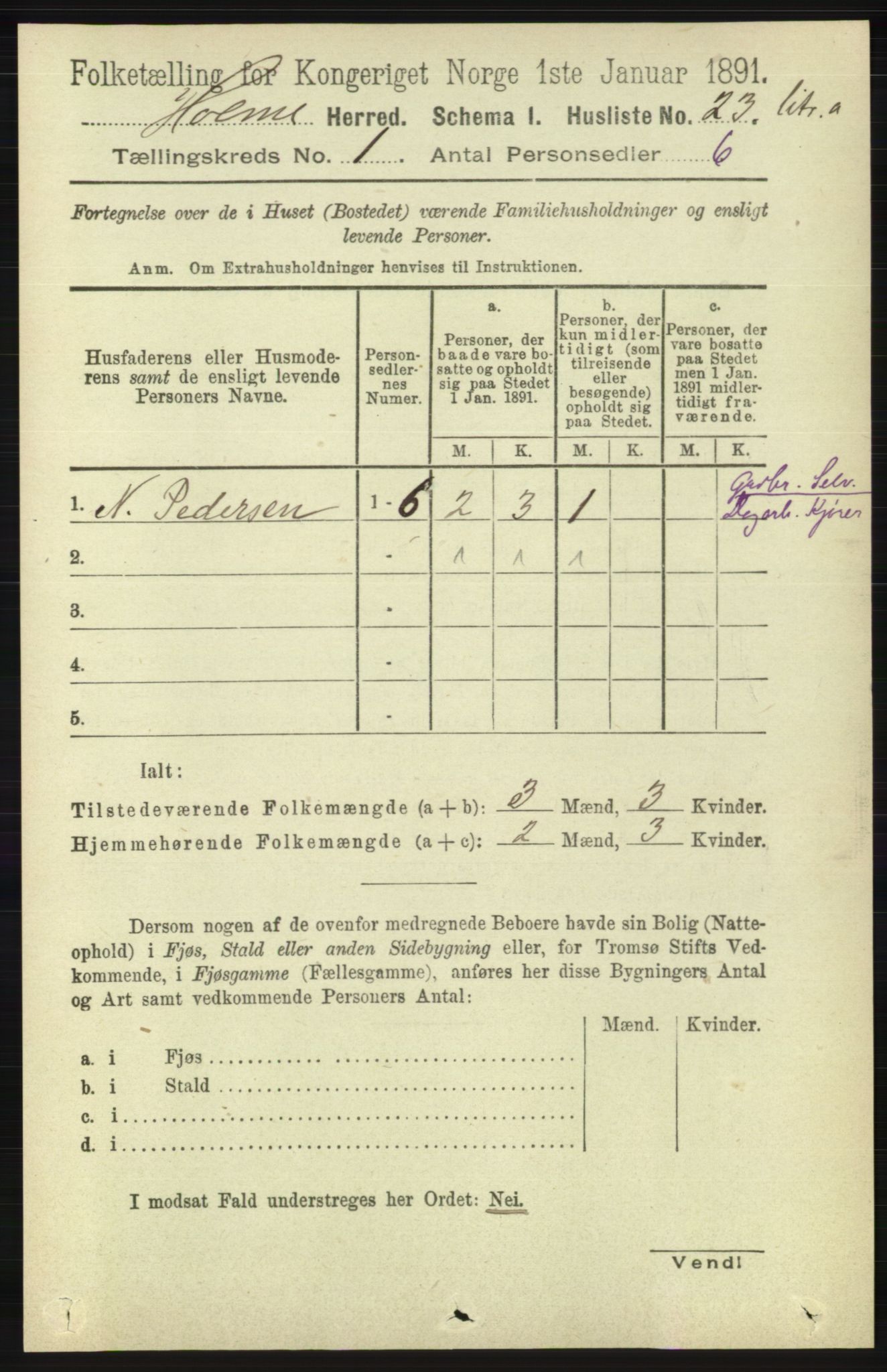 RA, 1891 census for 1020 Holum, 1891, p. 43