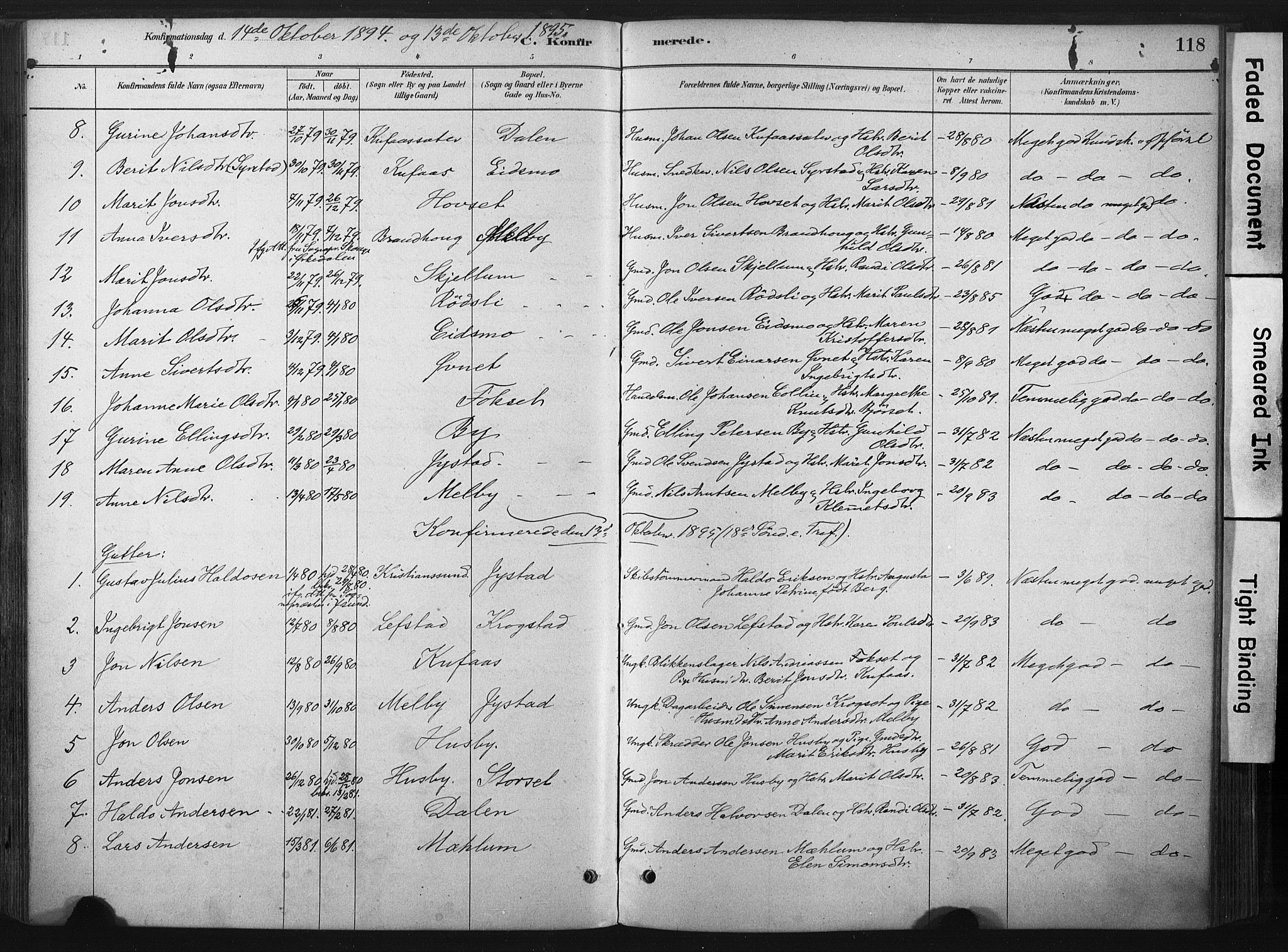 Ministerialprotokoller, klokkerbøker og fødselsregistre - Sør-Trøndelag, AV/SAT-A-1456/667/L0795: Parish register (official) no. 667A03, 1879-1907, p. 118