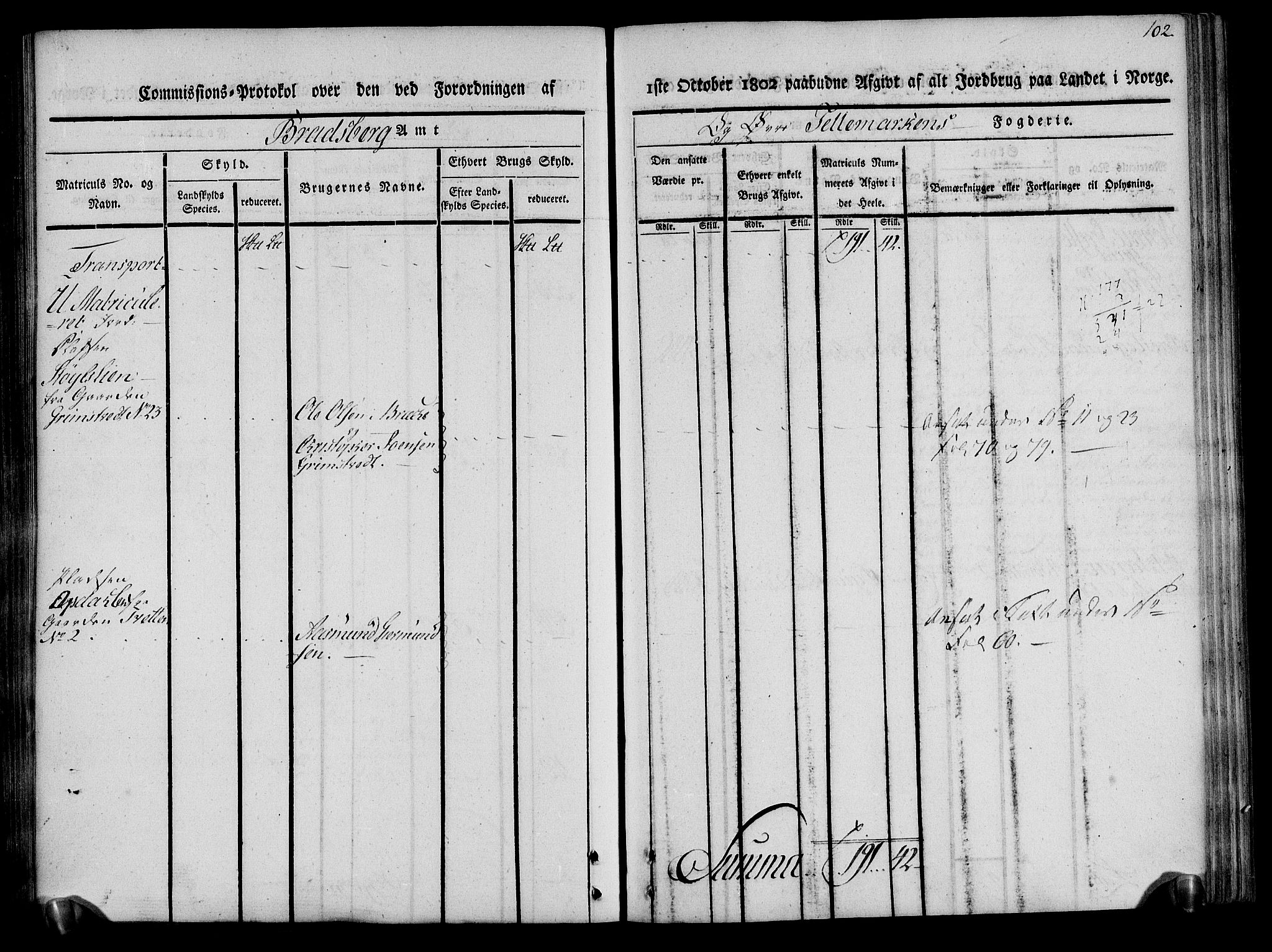 Rentekammeret inntil 1814, Realistisk ordnet avdeling, AV/RA-EA-4070/N/Ne/Nea/L0075: Øvre Telemarken fogderi. Kommisjonsprotokoll for fogderiets vestre del - Kviteseid, Vinje, Moland [):Fyresdal] og Lårdal prestegjeld., 1803, p. 102