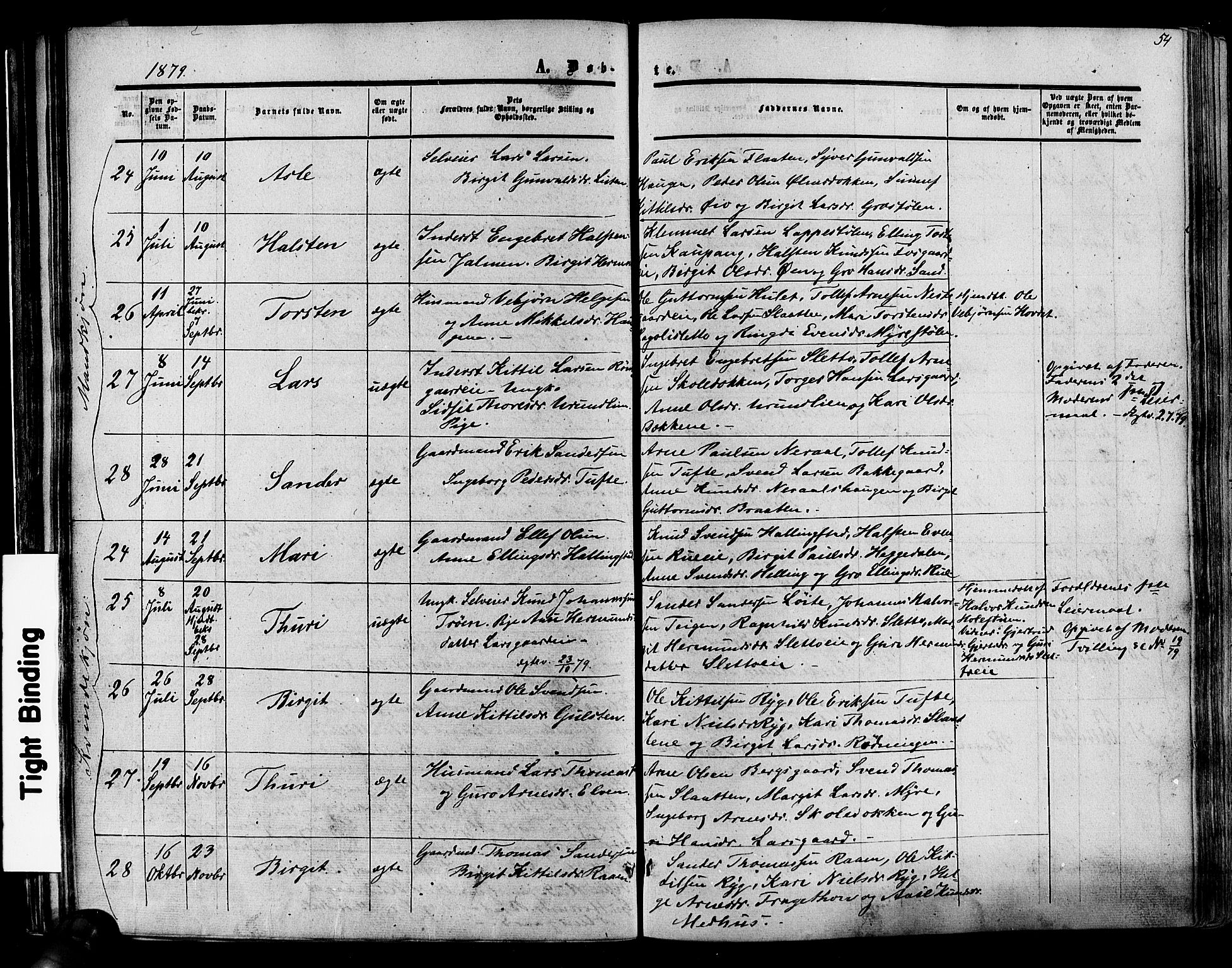 Hol kirkebøker, SAKO/A-227/F/Fa/L0002: Parish register (official) no. I 2, 1870-1886, p. 54