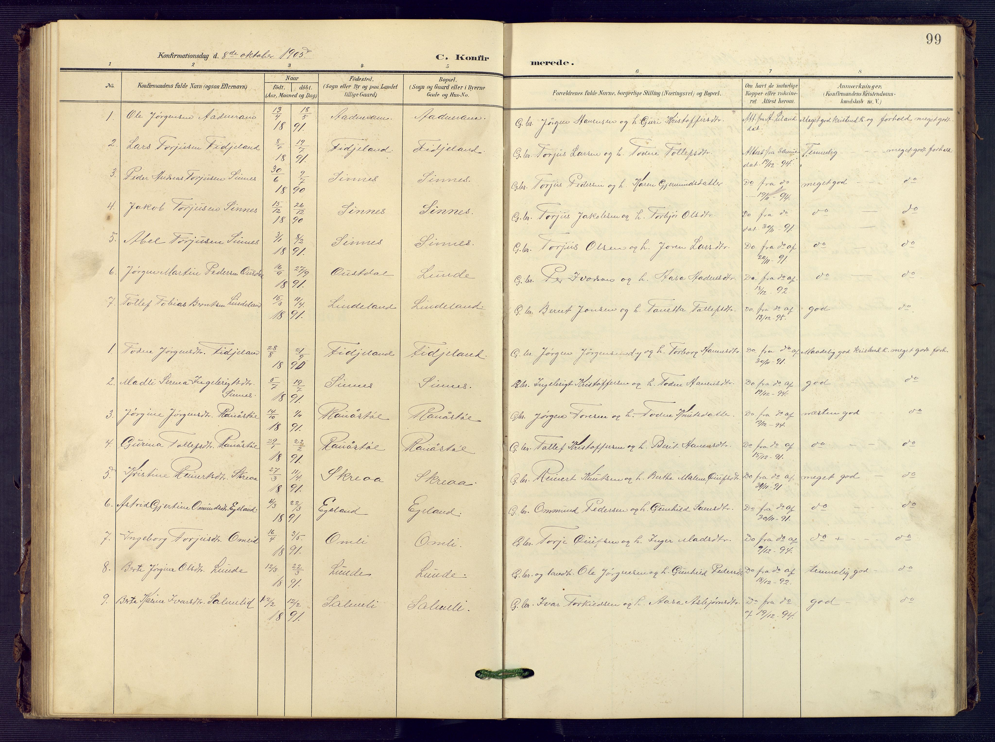 Sirdal sokneprestkontor, SAK/1111-0036/F/Fb/Fba/L0002: Parish register (copy) no. B 2, 1905-1958, p. 99