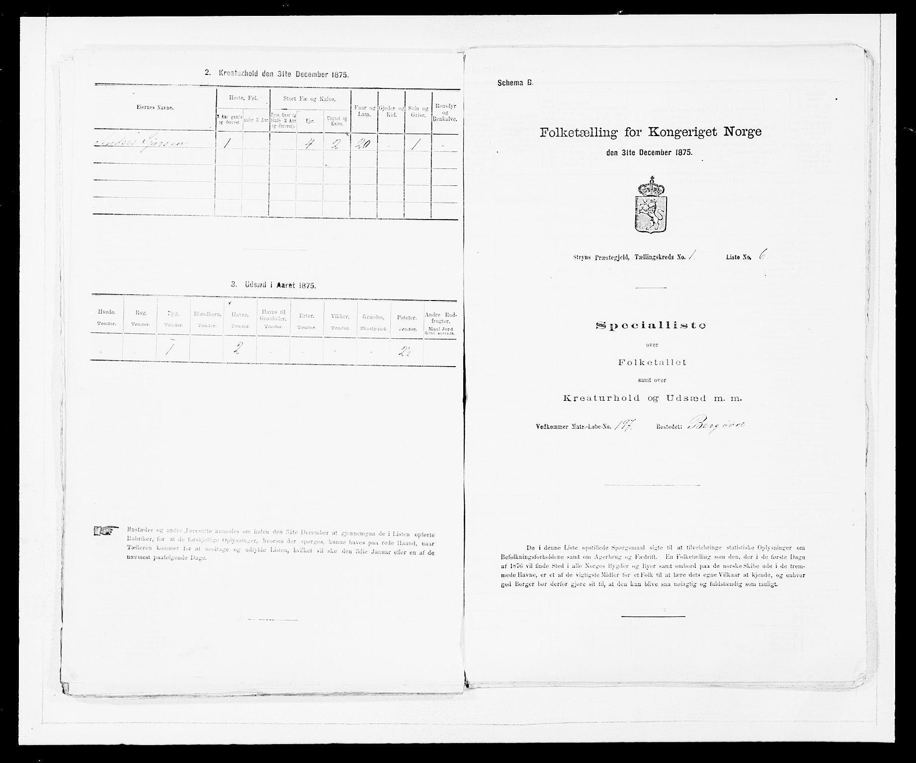 SAB, 1875 Census for 1448P Stryn, 1875, p. 46