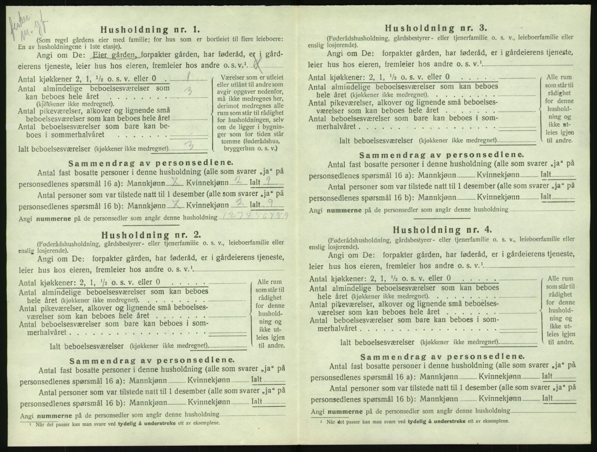 SAK, 1920 census for Nes (V-A), 1920, p. 1023