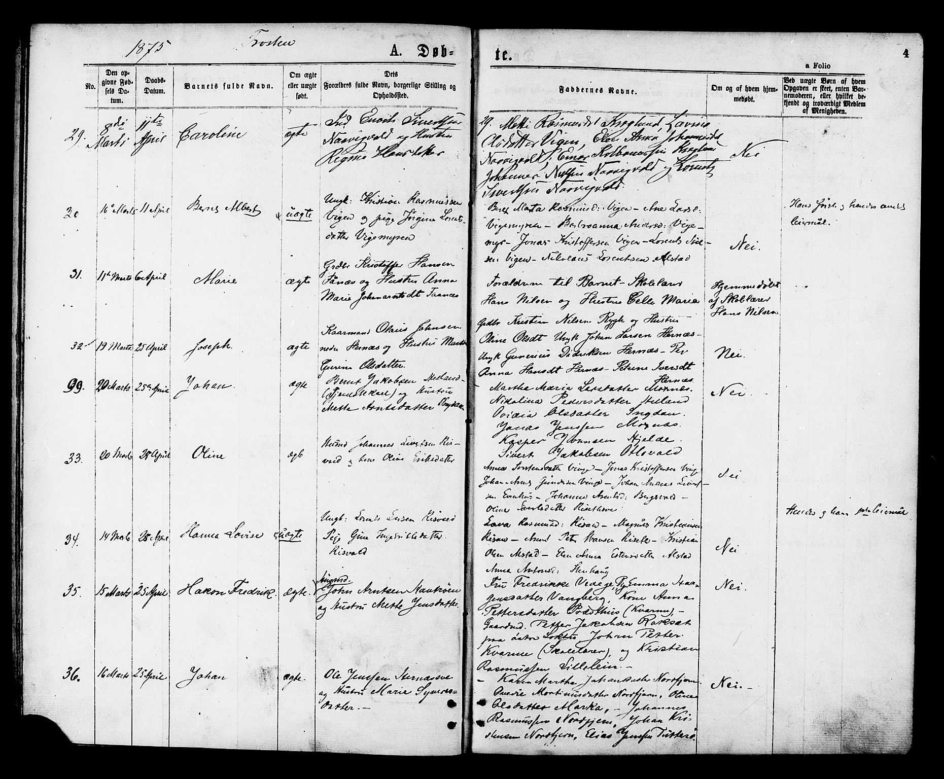 Ministerialprotokoller, klokkerbøker og fødselsregistre - Nord-Trøndelag, AV/SAT-A-1458/713/L0118: Parish register (official) no. 713A08 /1, 1875-1877, p. 4